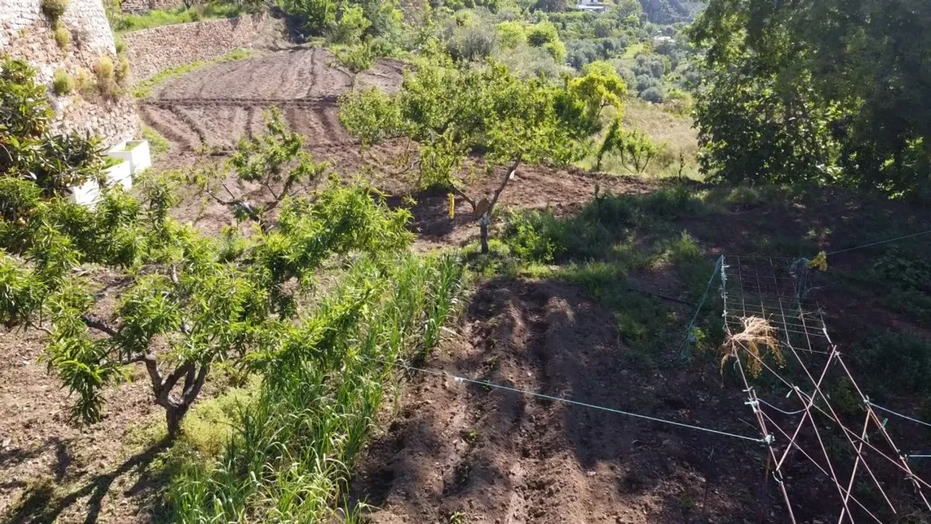 Dom w Lanjarón, Andalusia 10007961