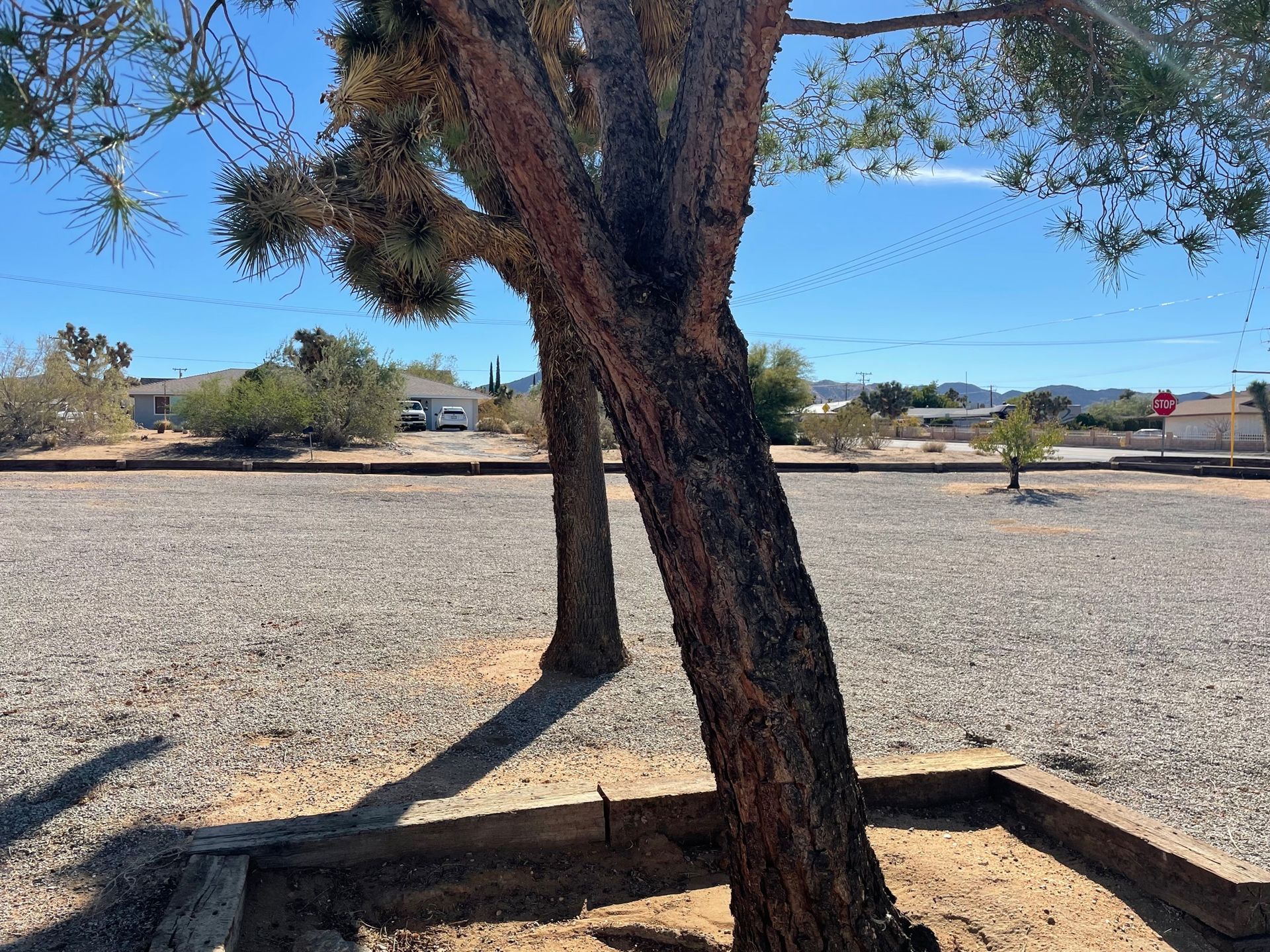 casa no Yucca Valley, California 10008172