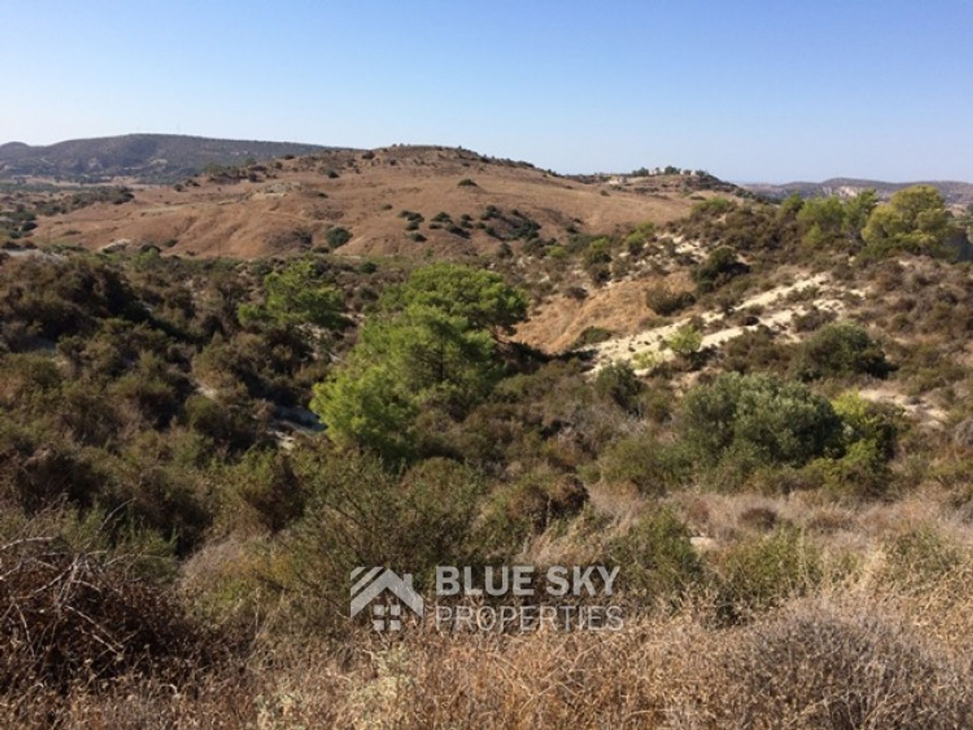 Land in Monagroulli, Limassol 10008330