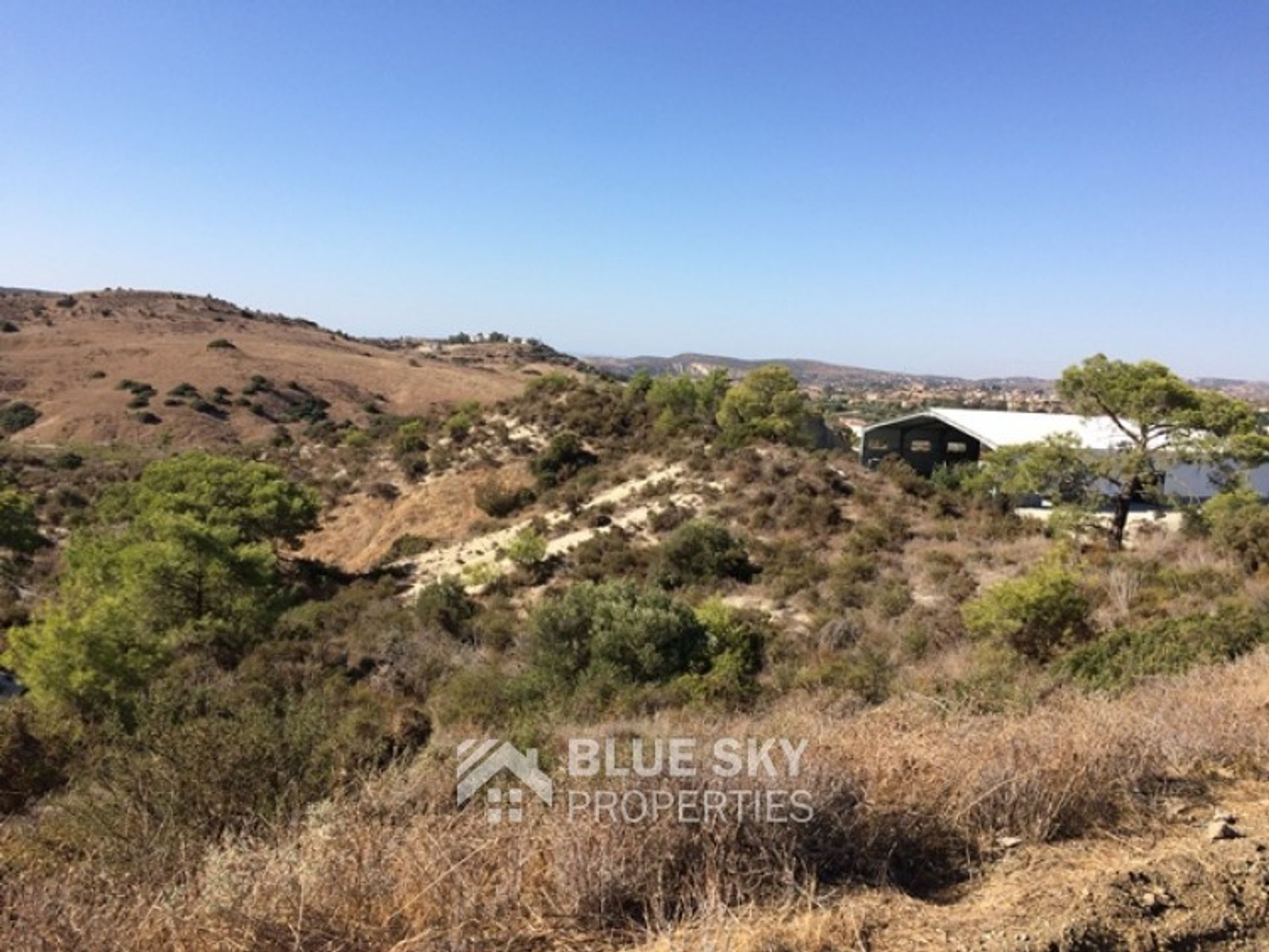 Land in Monagroulli, Limassol 10008330