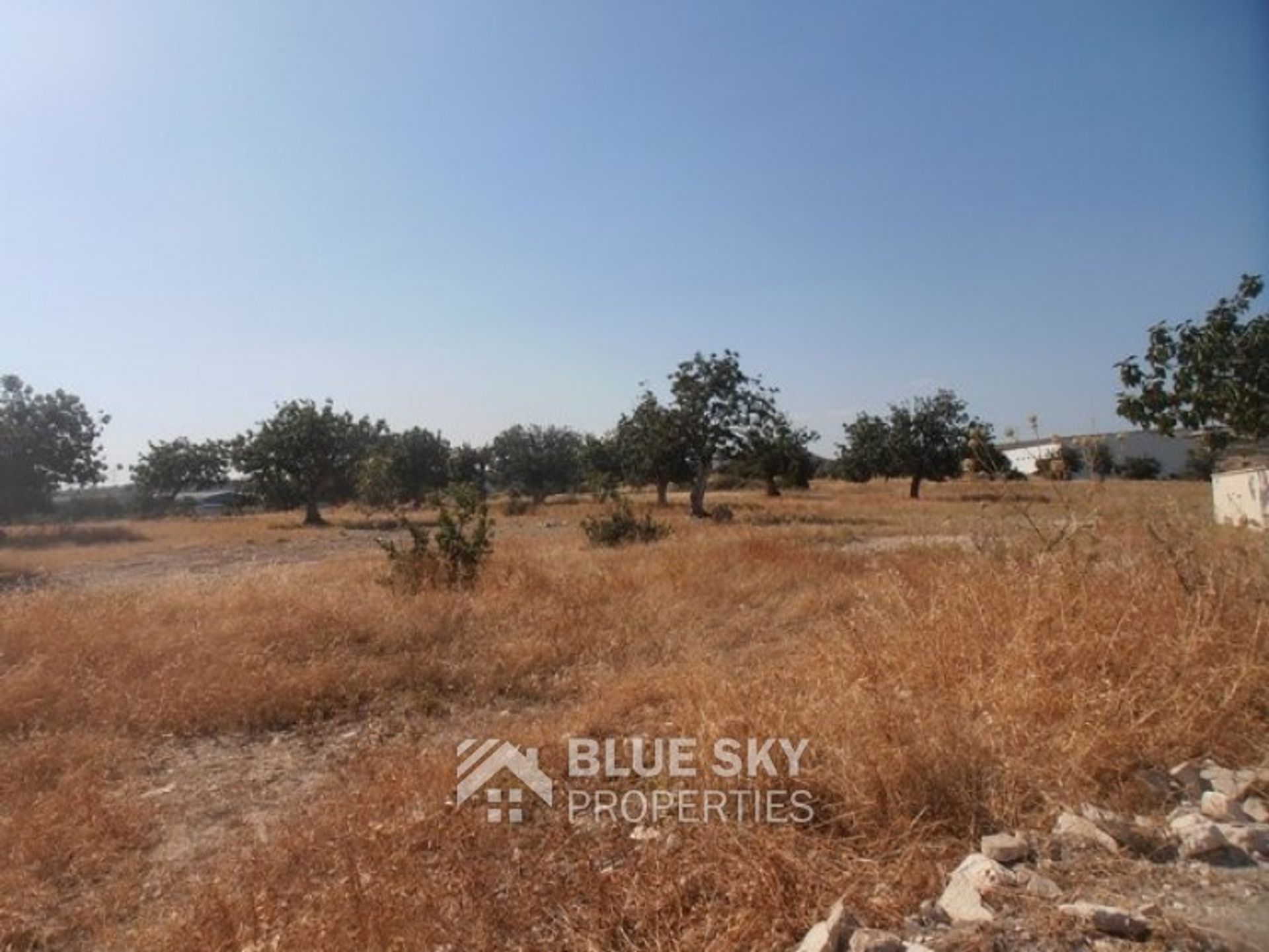 Land i Agia Fylaxis, Lemesos 10008455