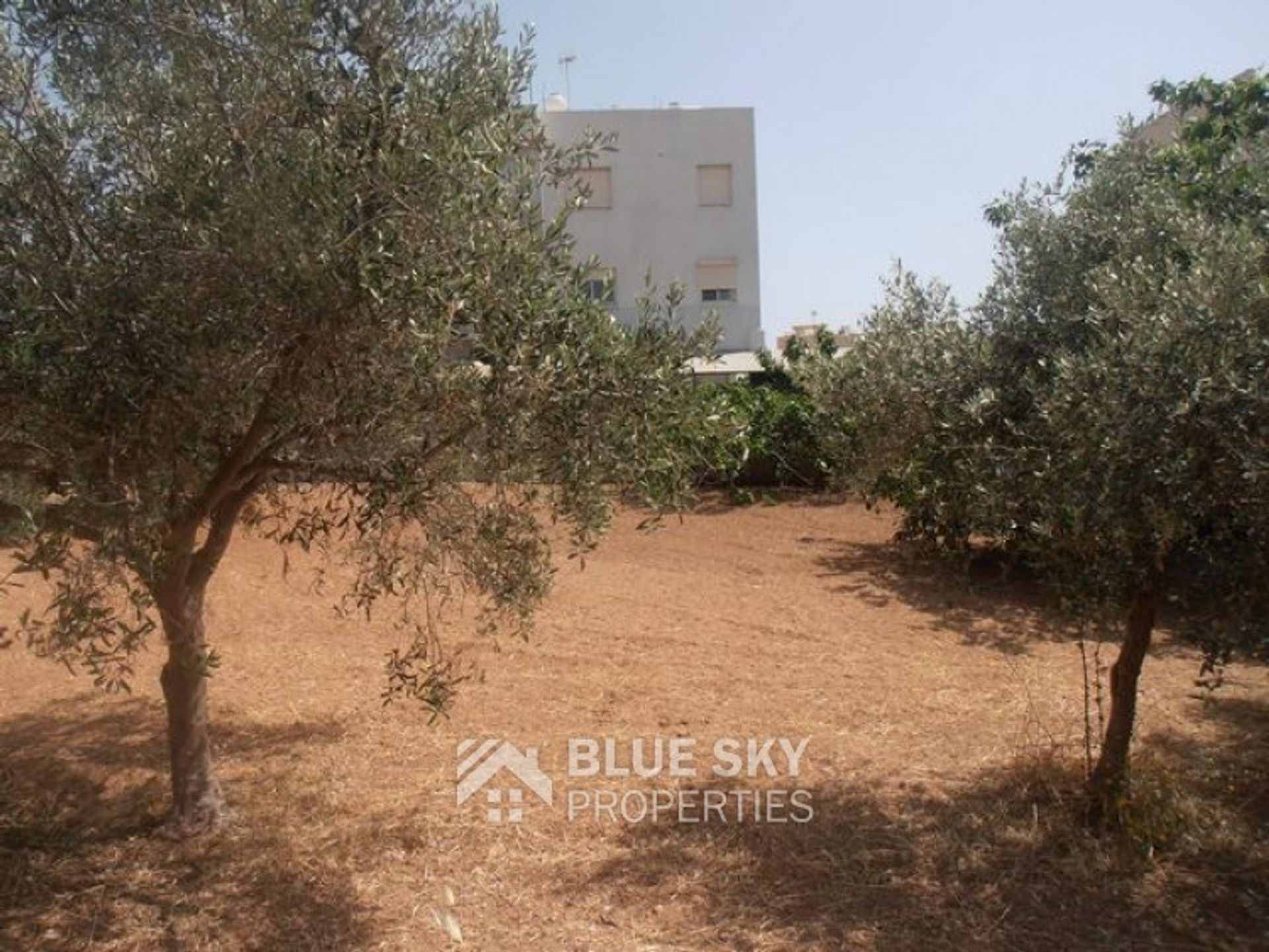 Land in Agios Georgios Lemesou, Limassol 10008721