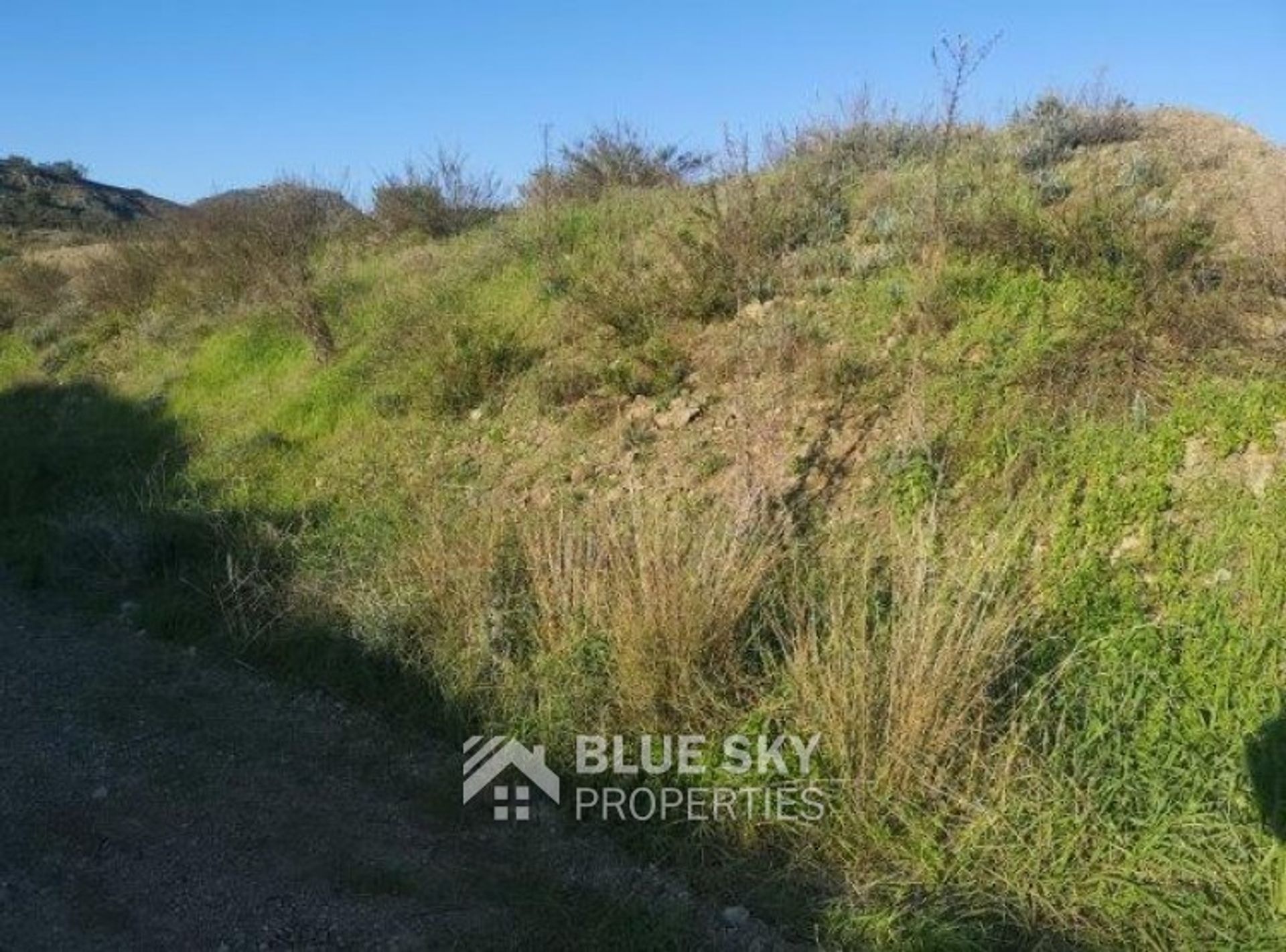 Land in Pyrgos, Larnaca 10008864