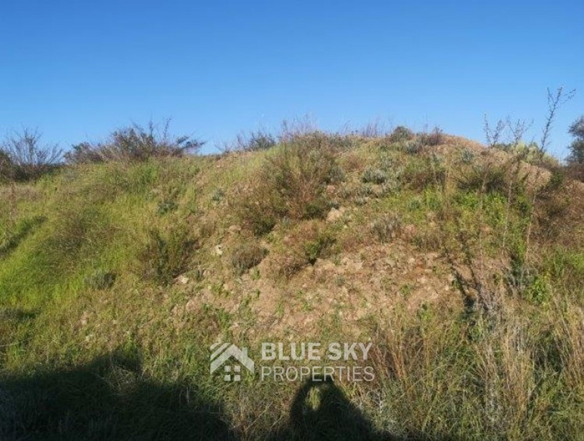 Land in Pyrgos, Larnaca 10008864