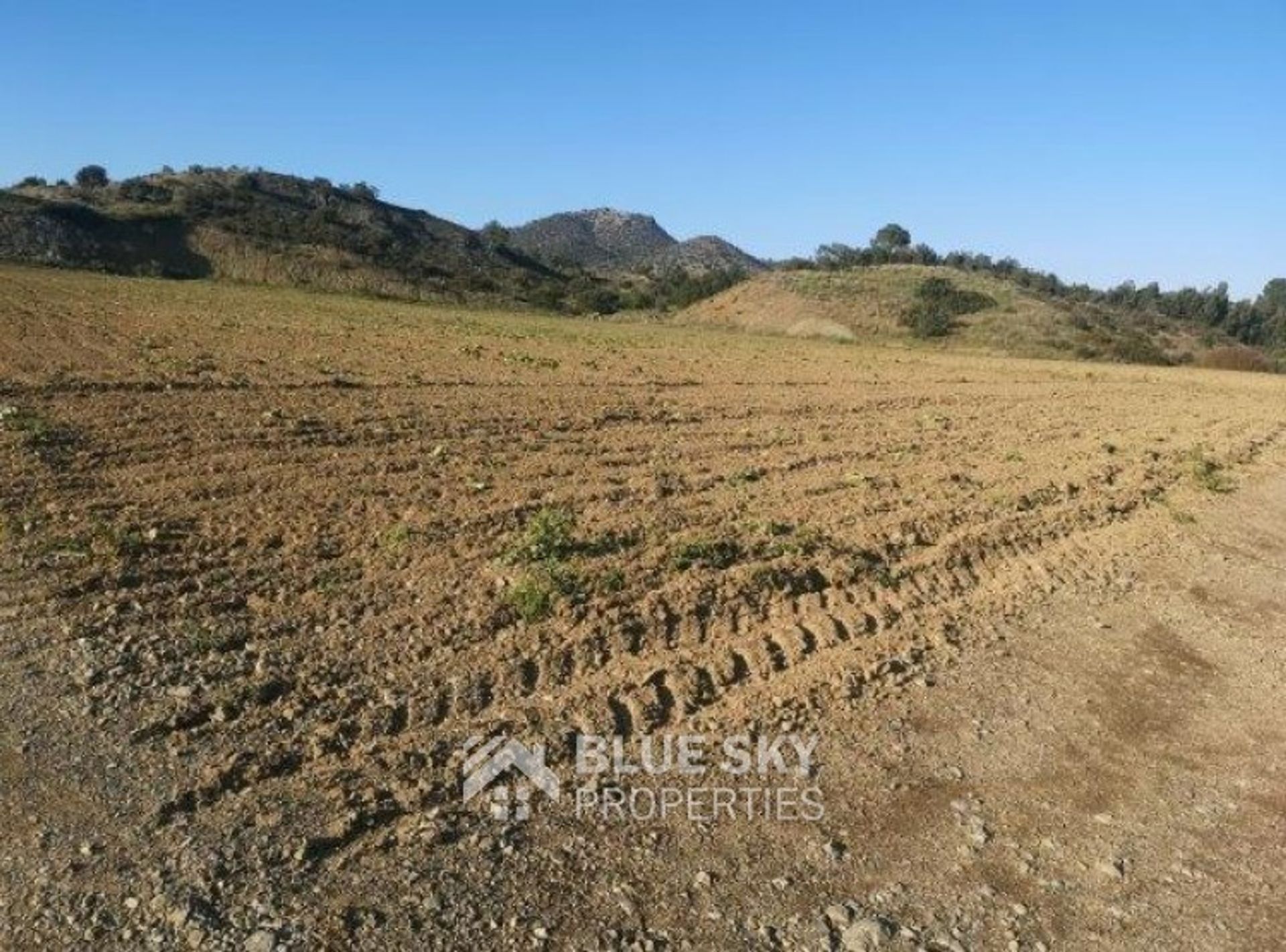 Land in Pyrgos, Larnaca 10008864