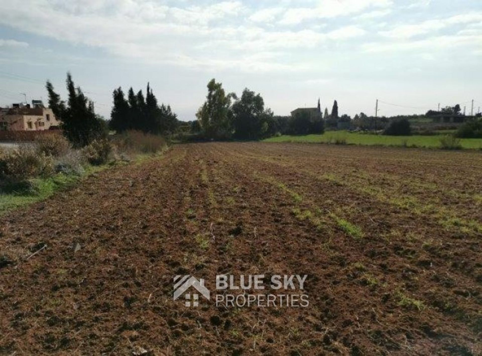 Land in Kolossi, Limassol 10009062