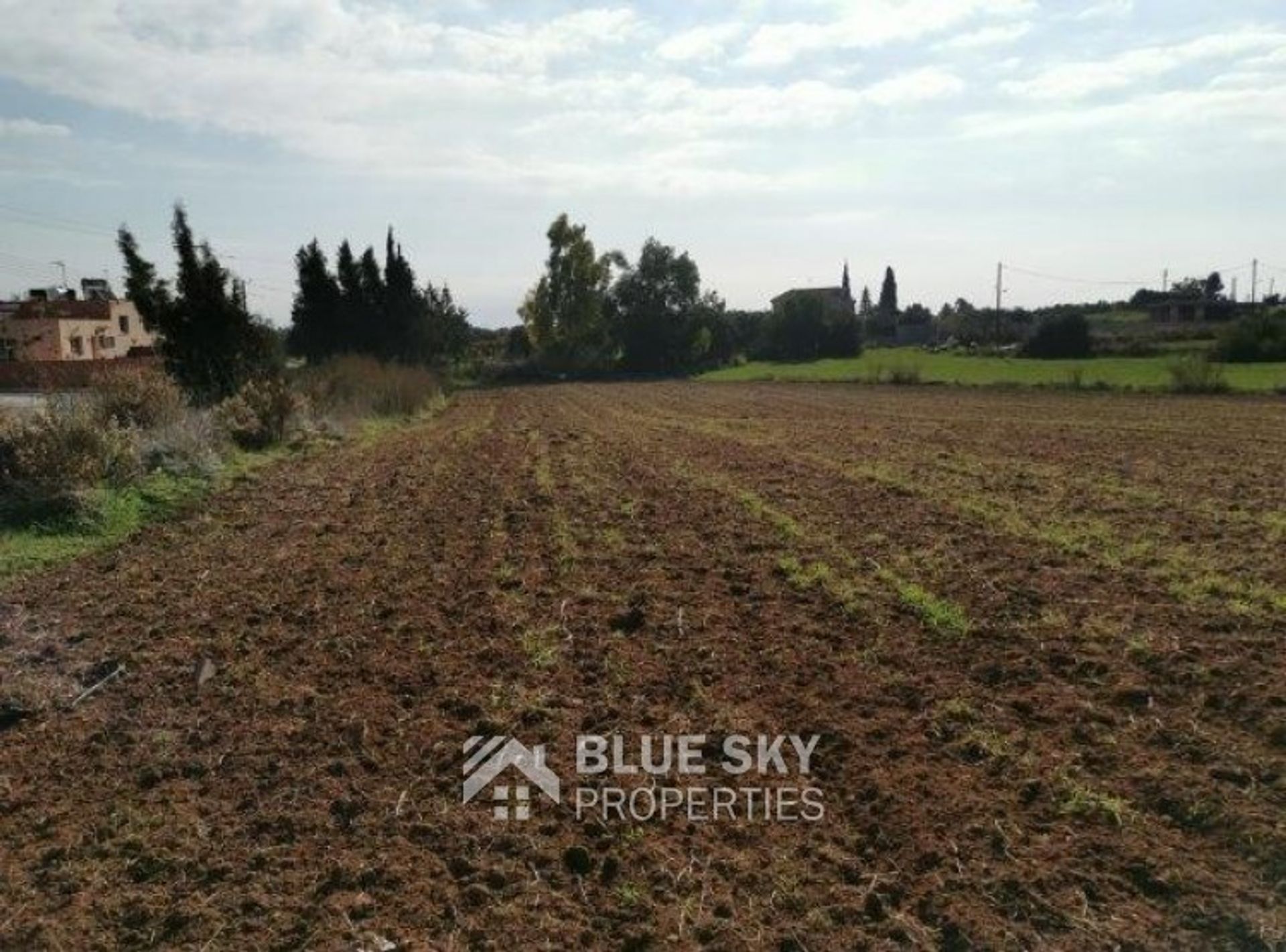 Land in Kolossi, Lemesos 10009062