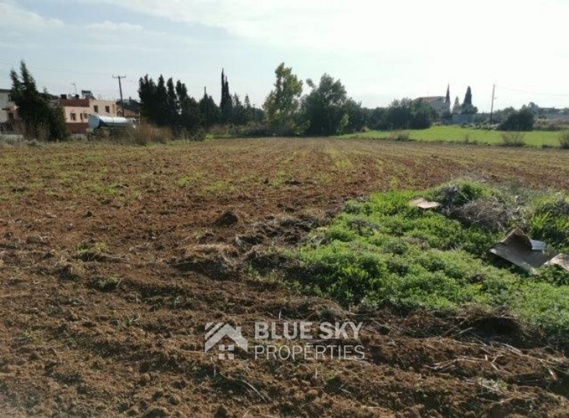 Land in Kolossi, Limassol 10009062