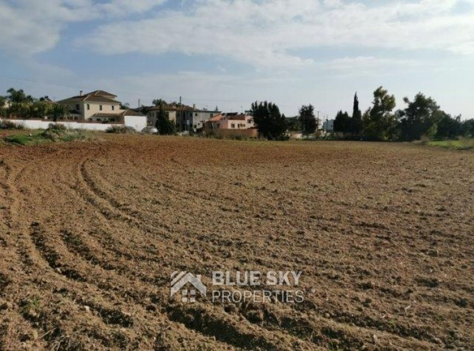 Land in Kolossi, Lemesos 10009062