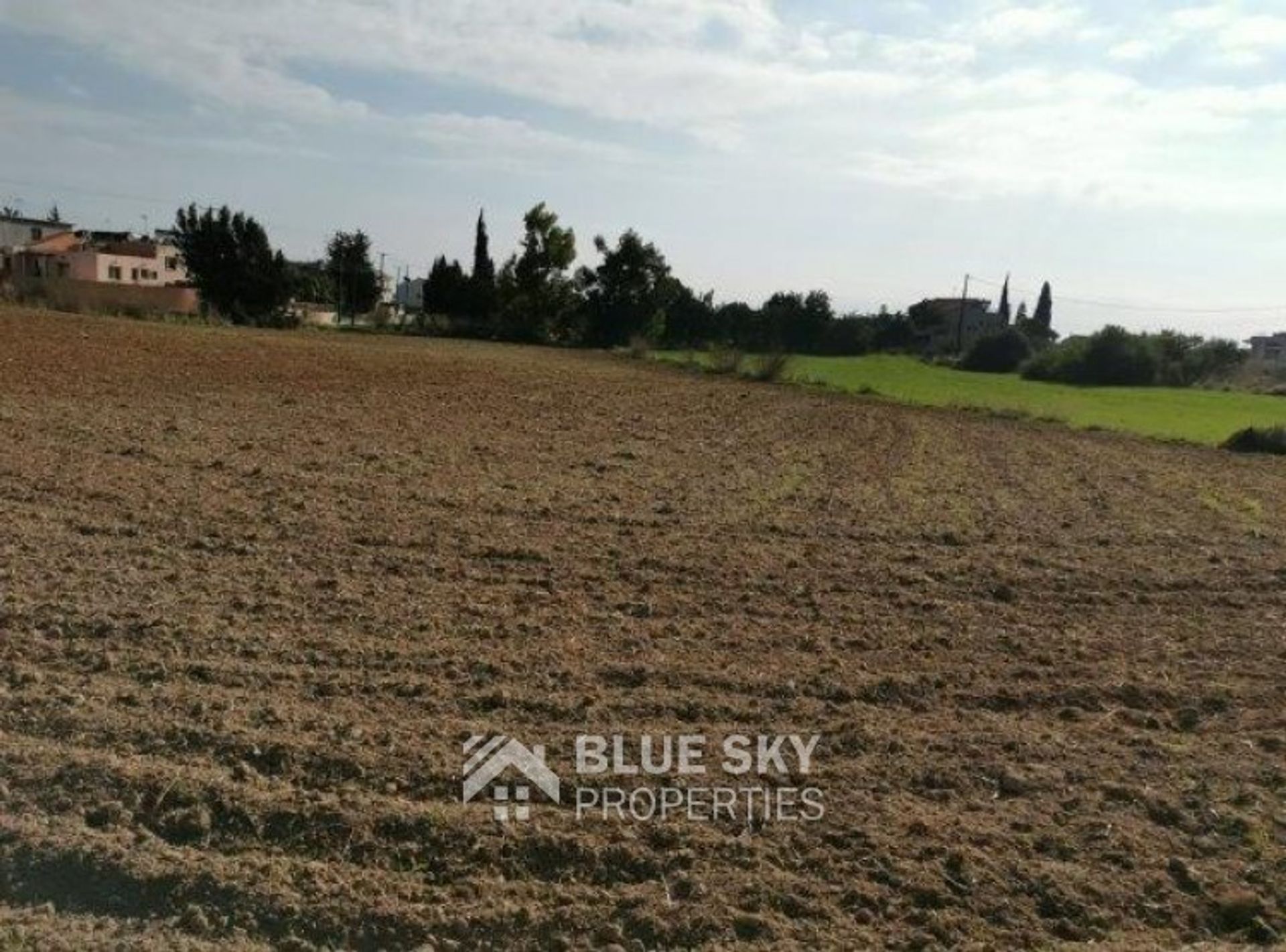 Land in Kolossi, Limassol 10009062