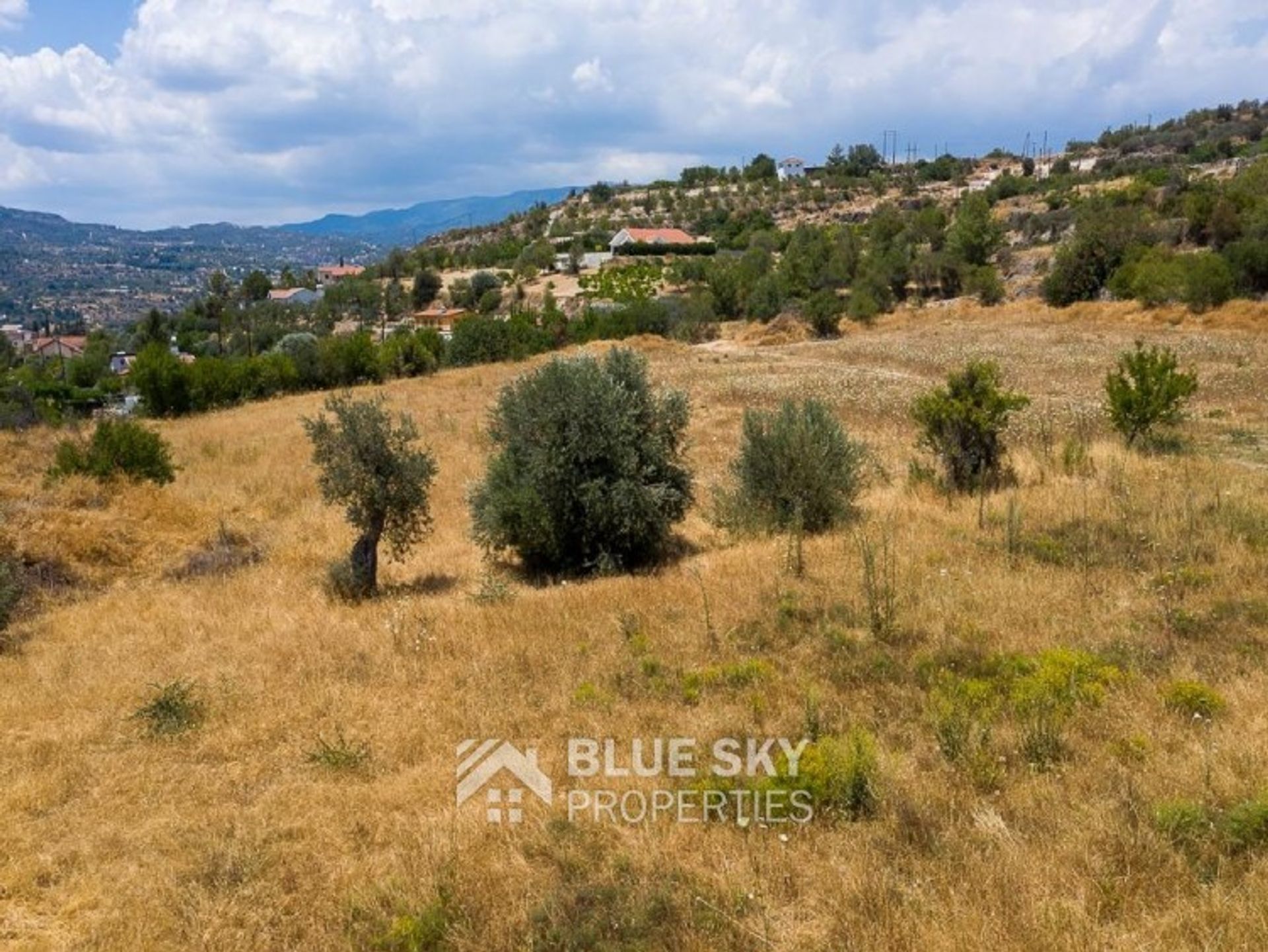 Land in Soularavia, Lemesos 10009443