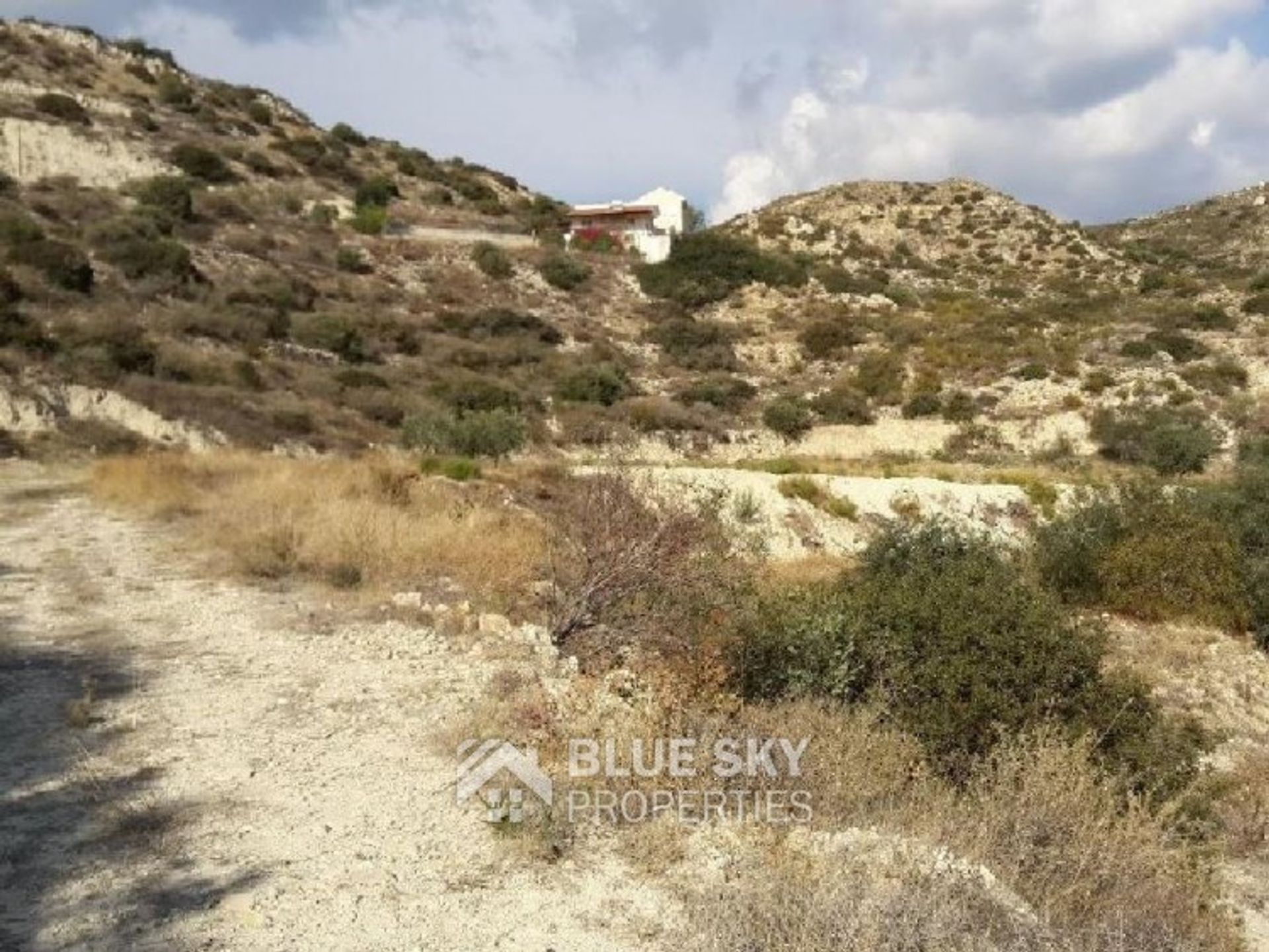 Land in Palodeia, Limassol 10009696