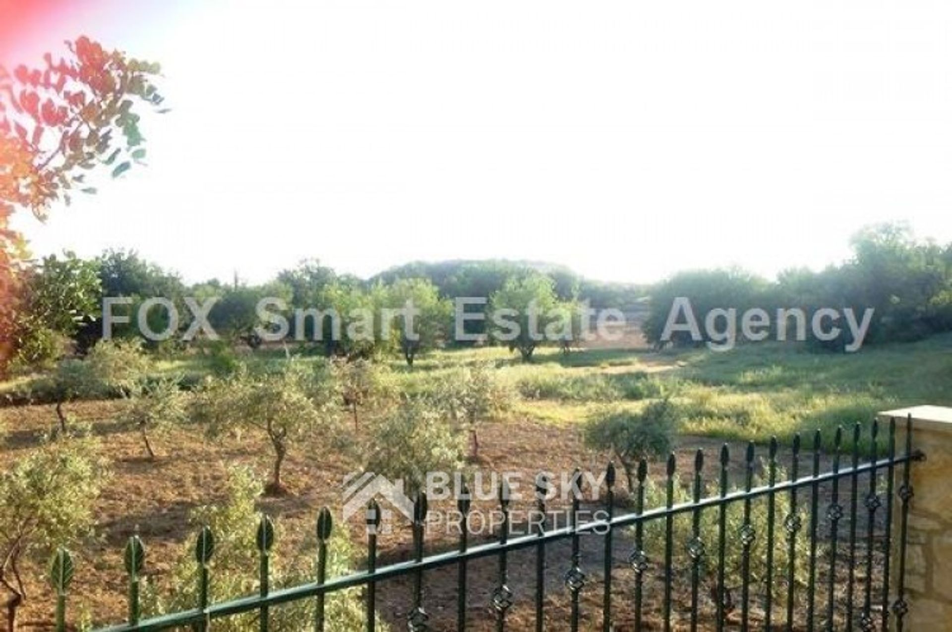 Land in Apesia, Limassol 10009835