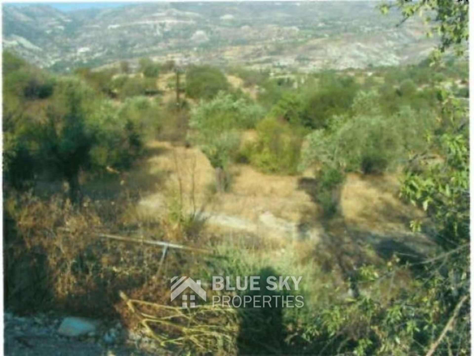 Land i Soularavia, Lemesos 10009847