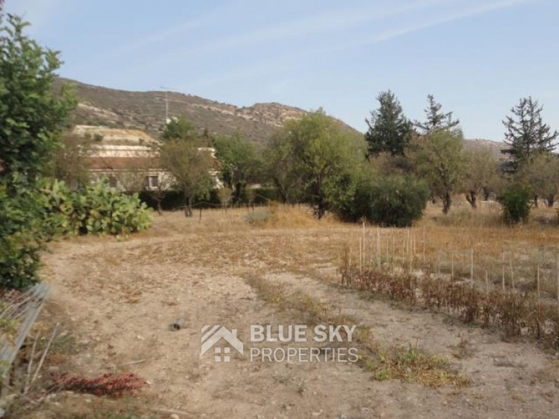 Land in Palodeia, Lemesos 10009864