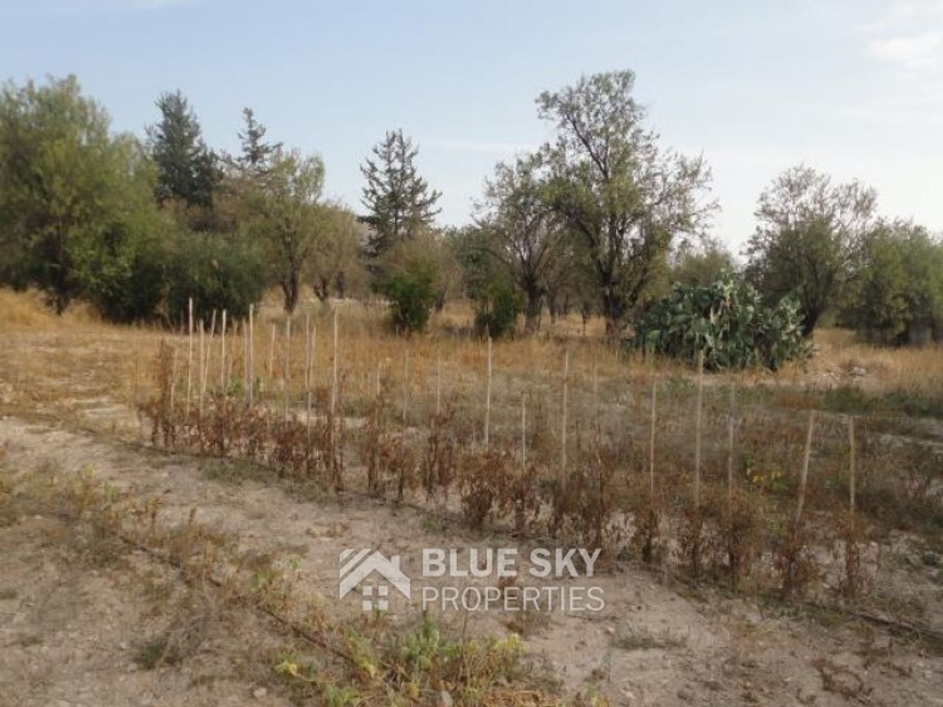 Land in Palodeia, Lemesos 10009864