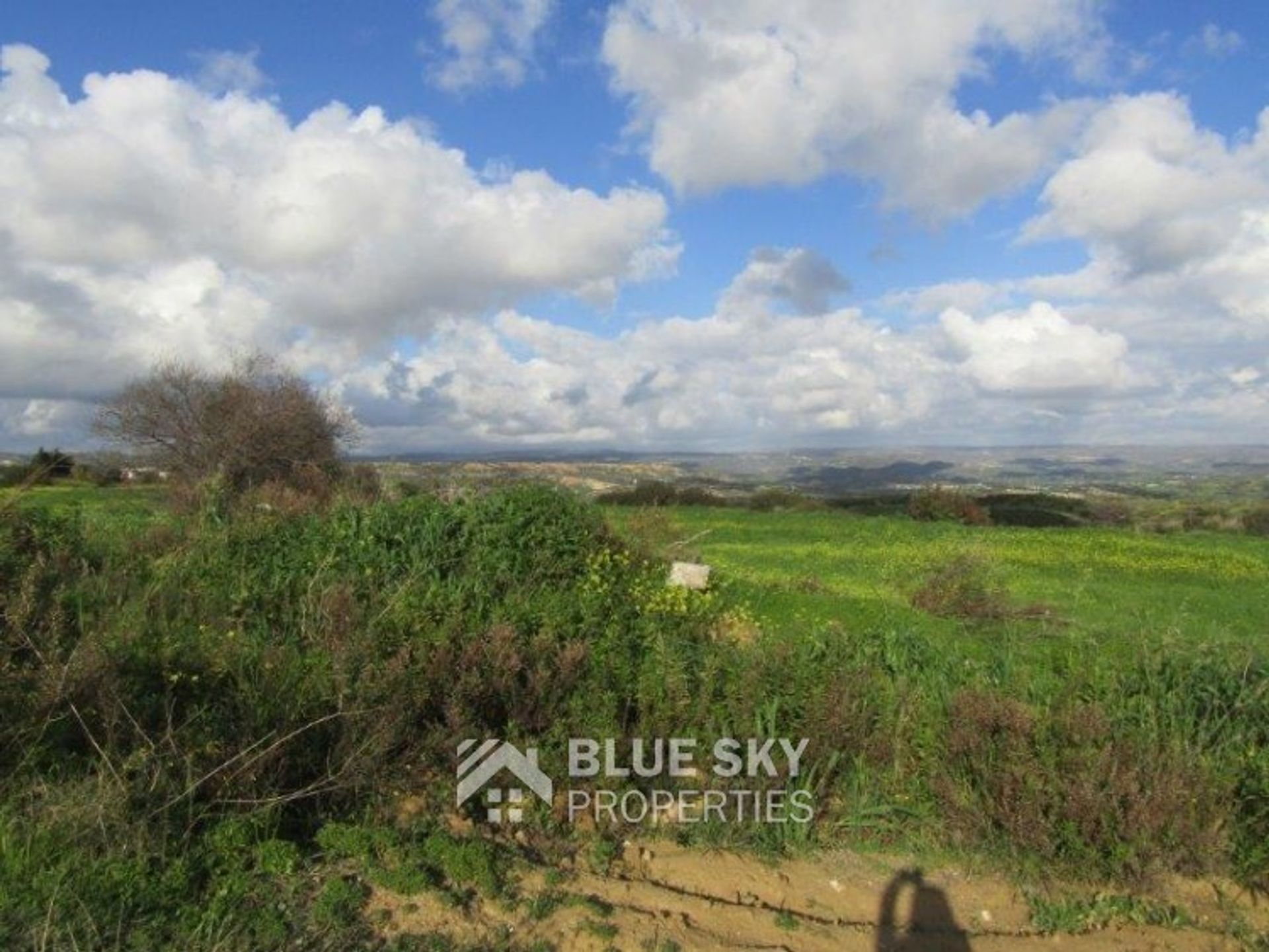 Tierra en pampula, lemesos 10009982