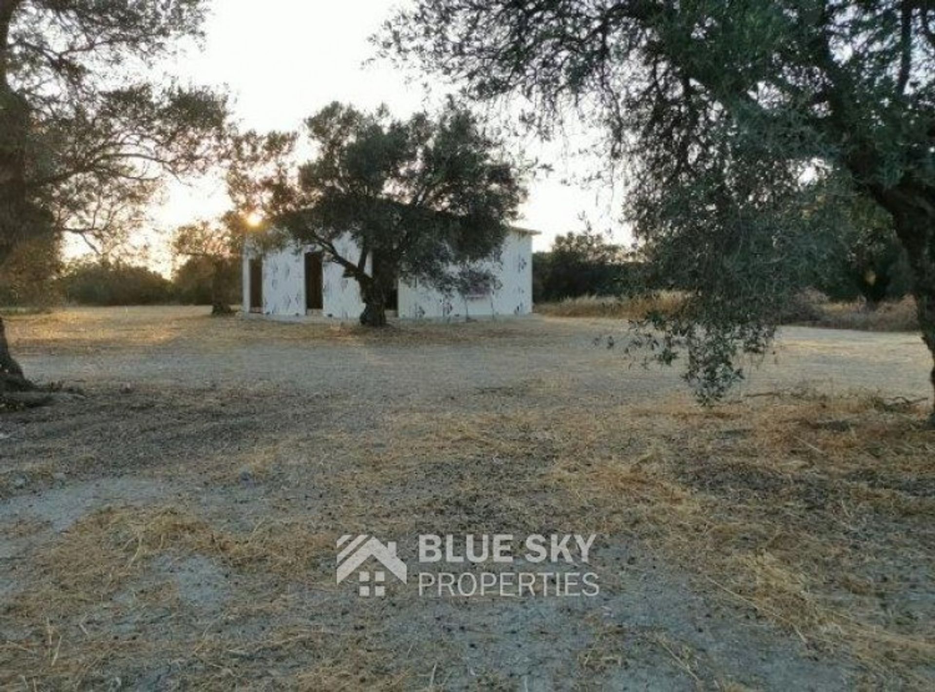 Land in Kolossi, Lemesos 10010008