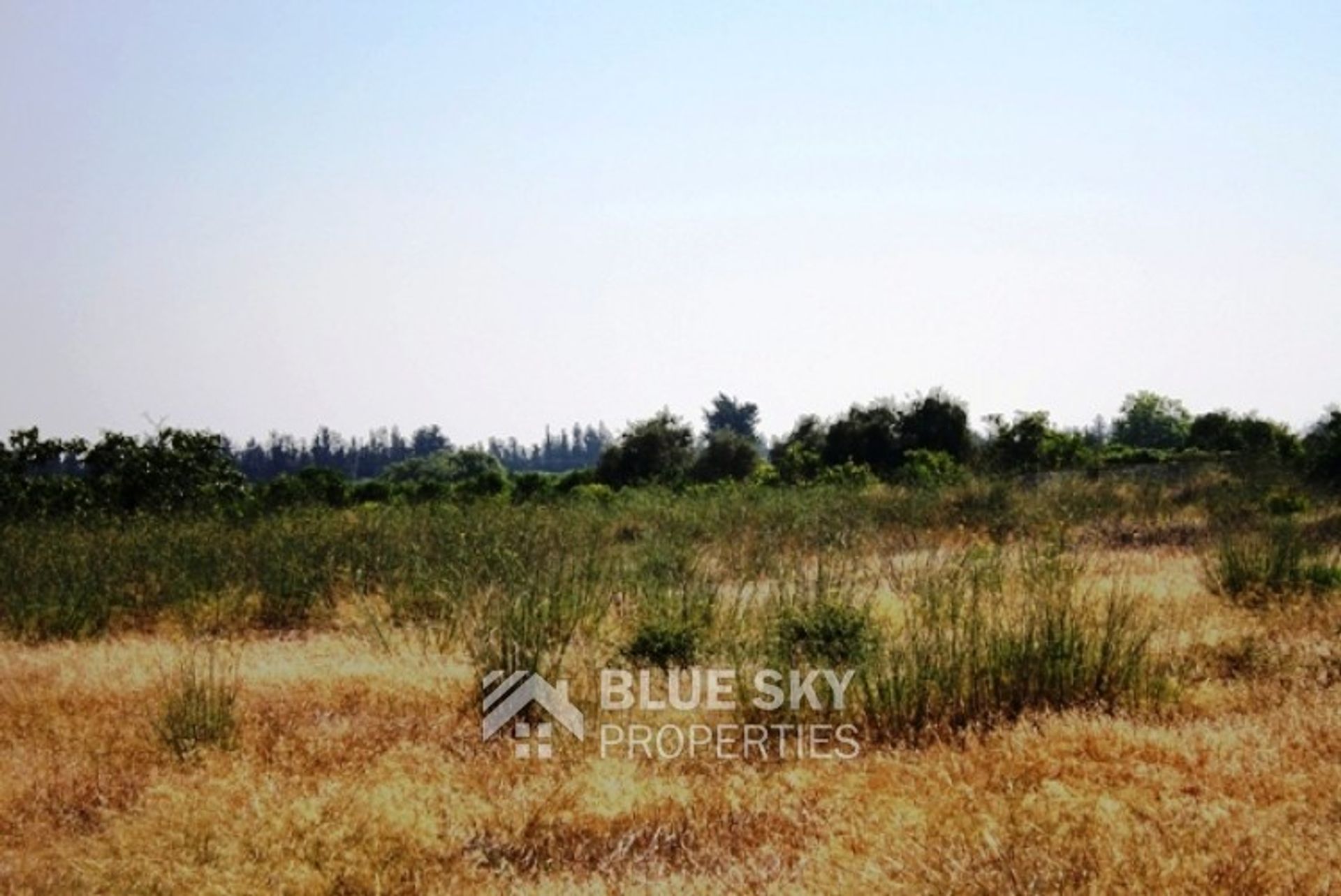 Land in Trachoni, Lemesos 10010150