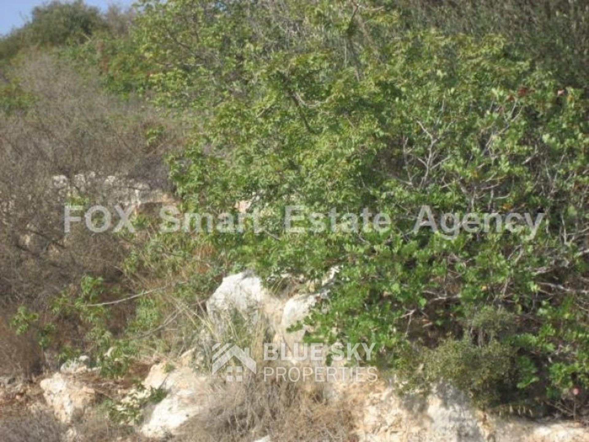 Land in Anavargos, Paphos 10010602