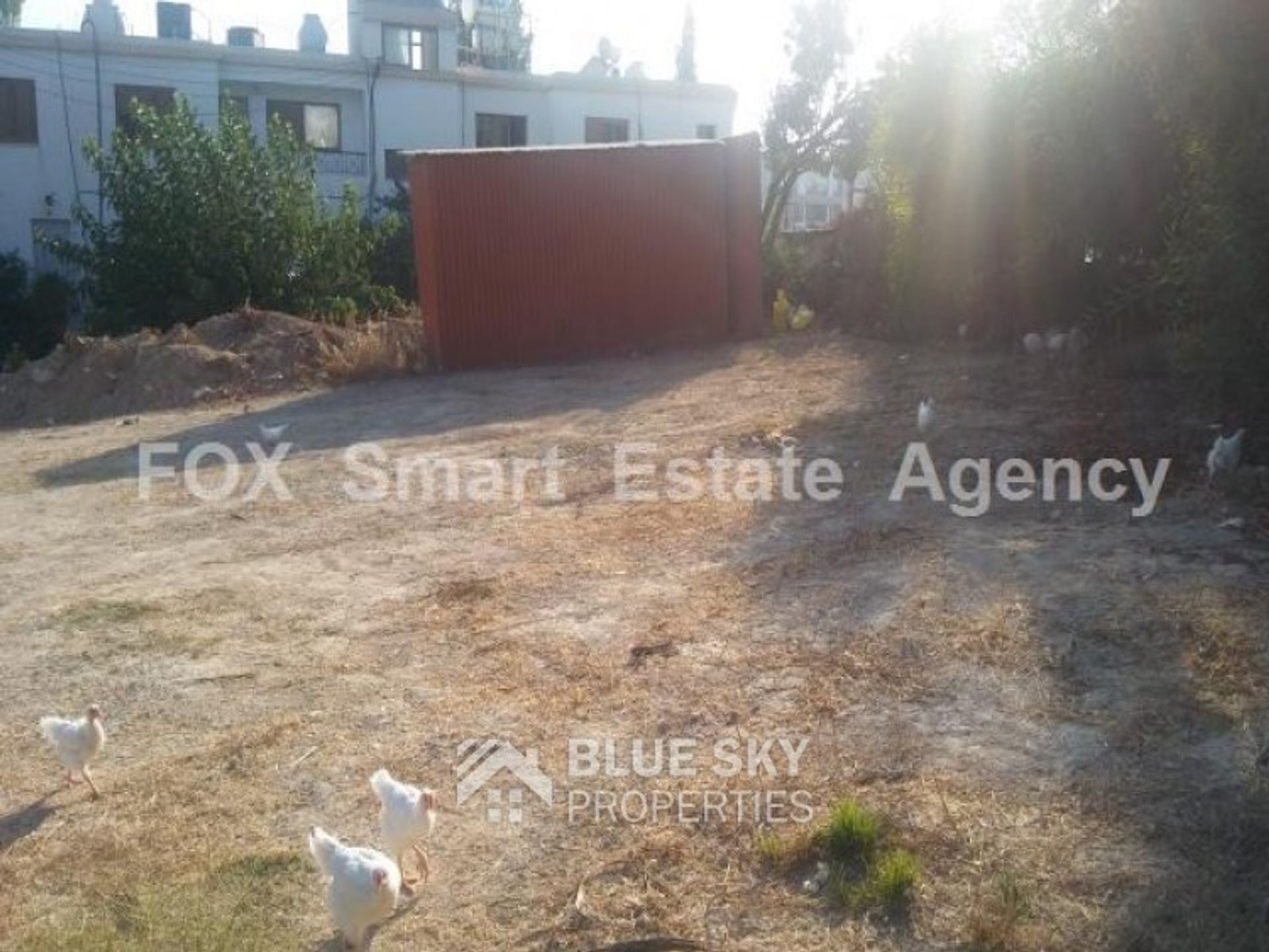 Land in Empa, Paphos 10011023