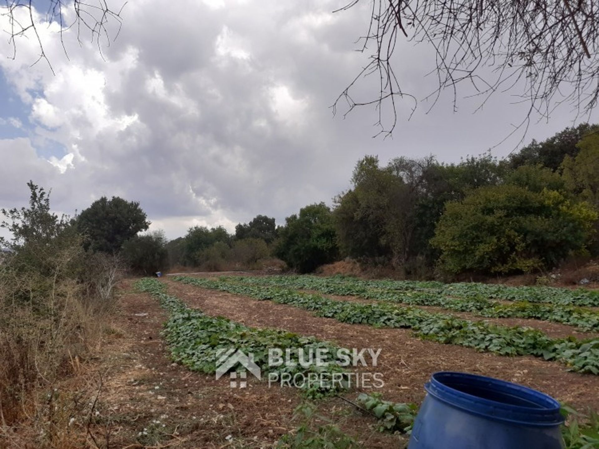 Tierra en mesogi, Pafos 10011223