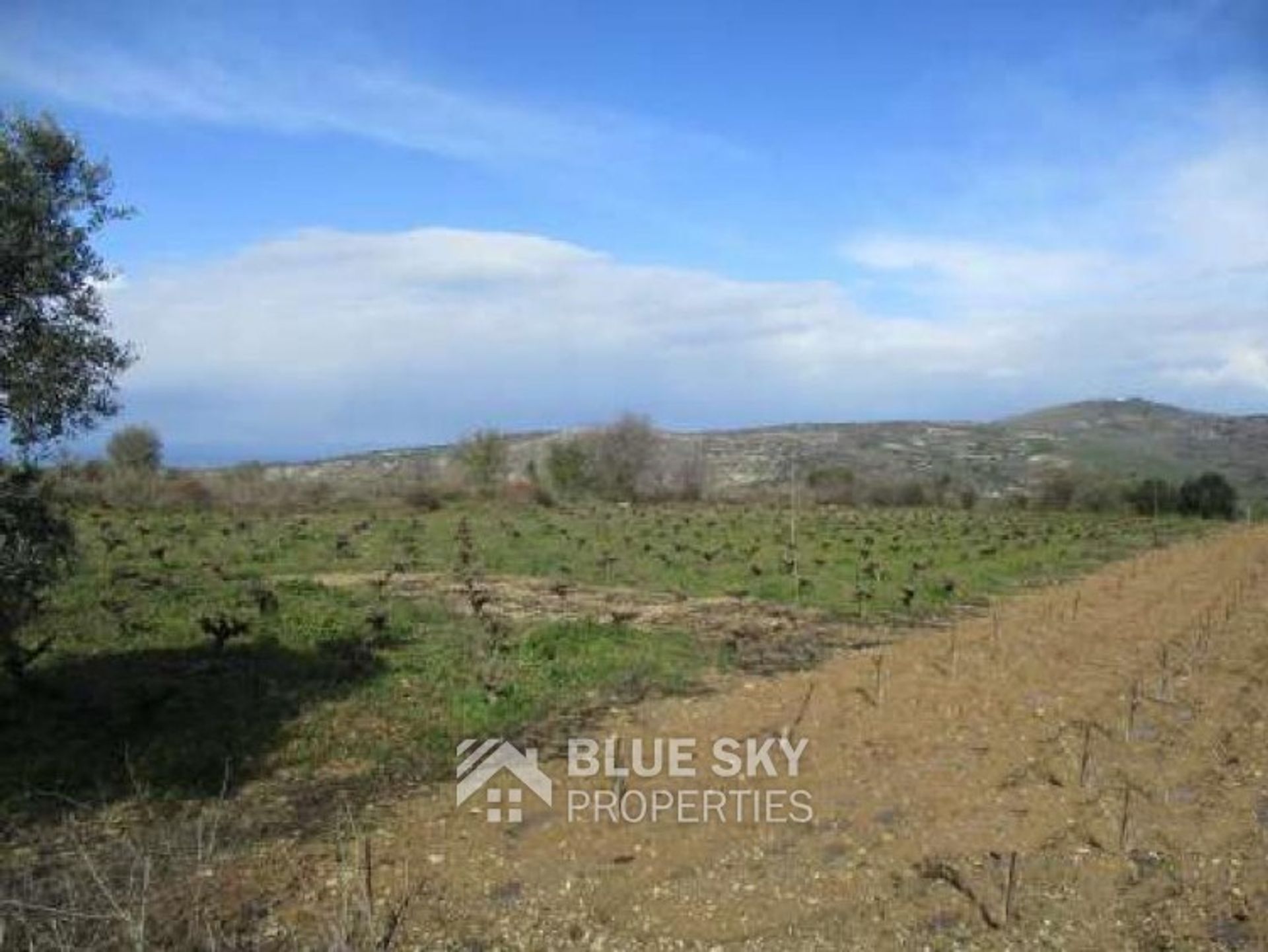 Tierra en Pano Arodes, Paphos 10011491