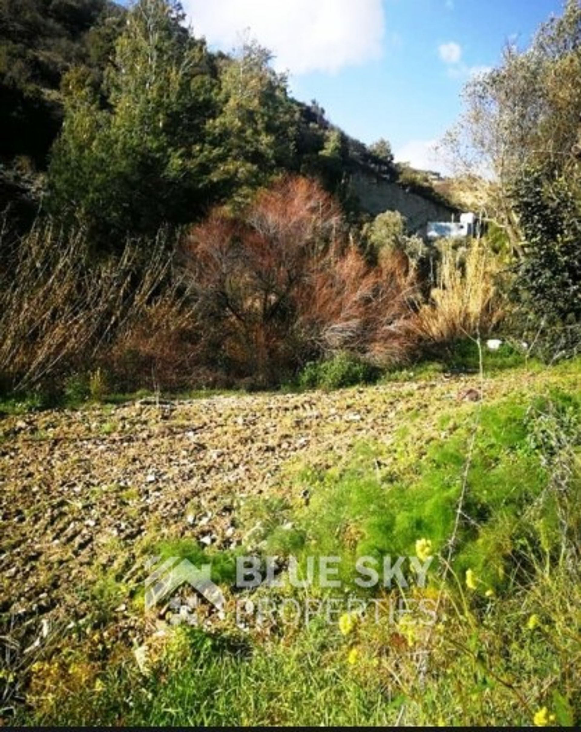 Tanah di Pegeia, Pafos 10011518