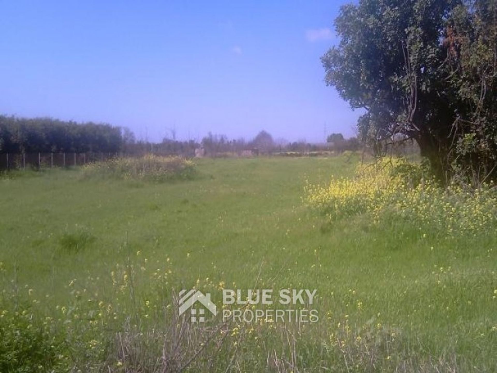 Land in Ypsonas, Lemesos 10011639