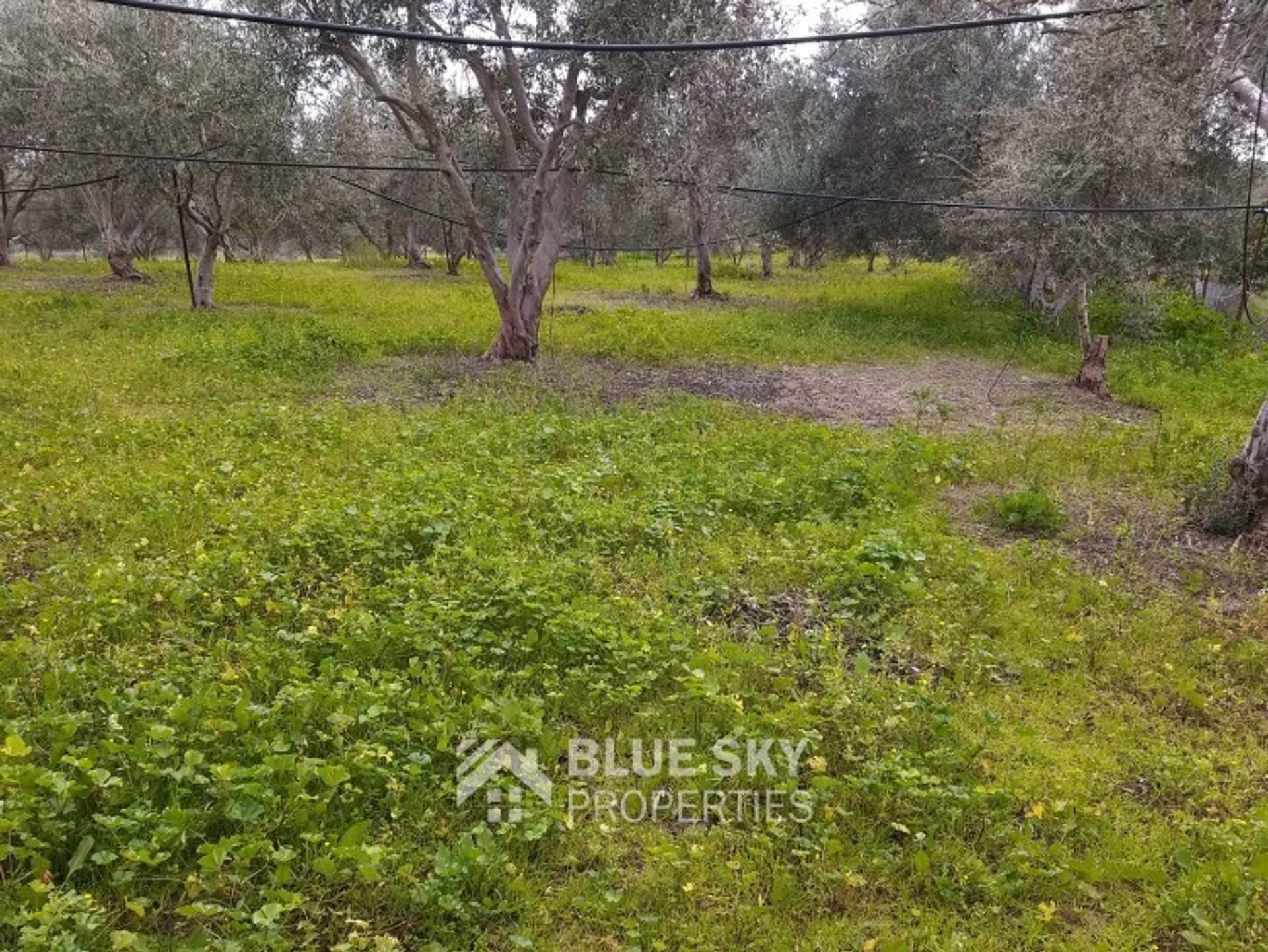 Land in Pyrgos, Larnaca 10012038