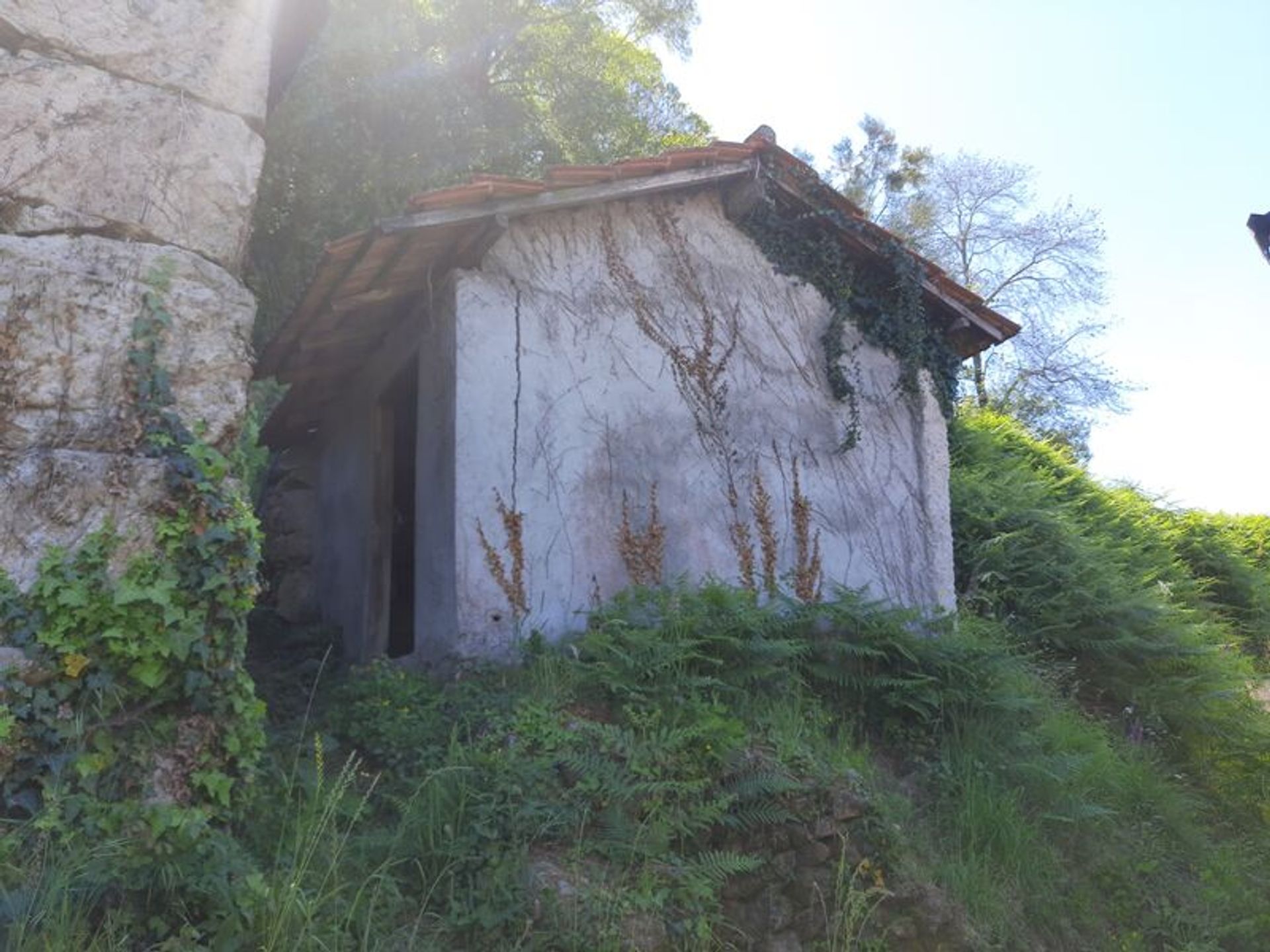 Casa nel Abedim, Viana do Castelo 10012394