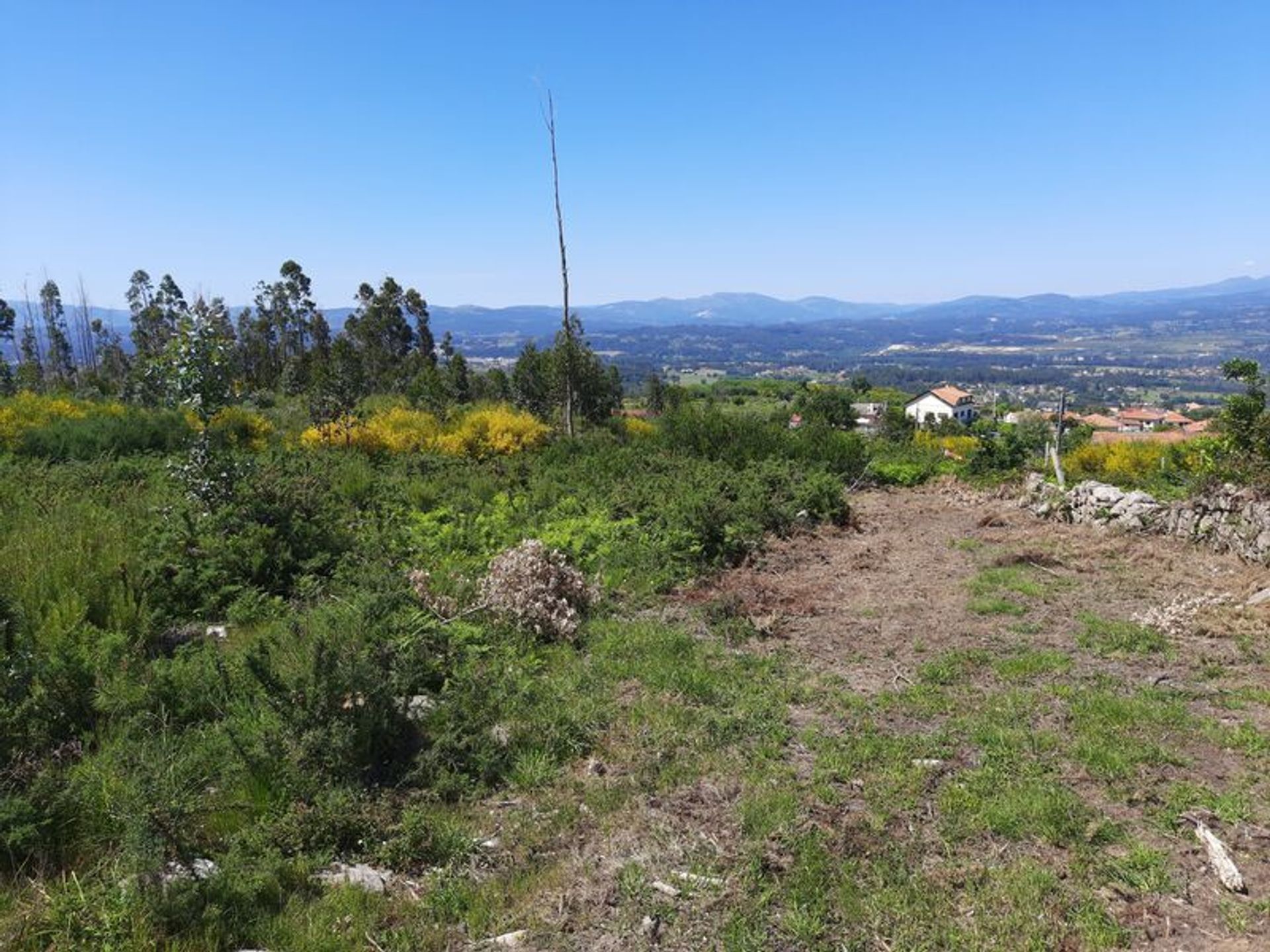 Annen i Pedra, Viana do Castelo 10012443