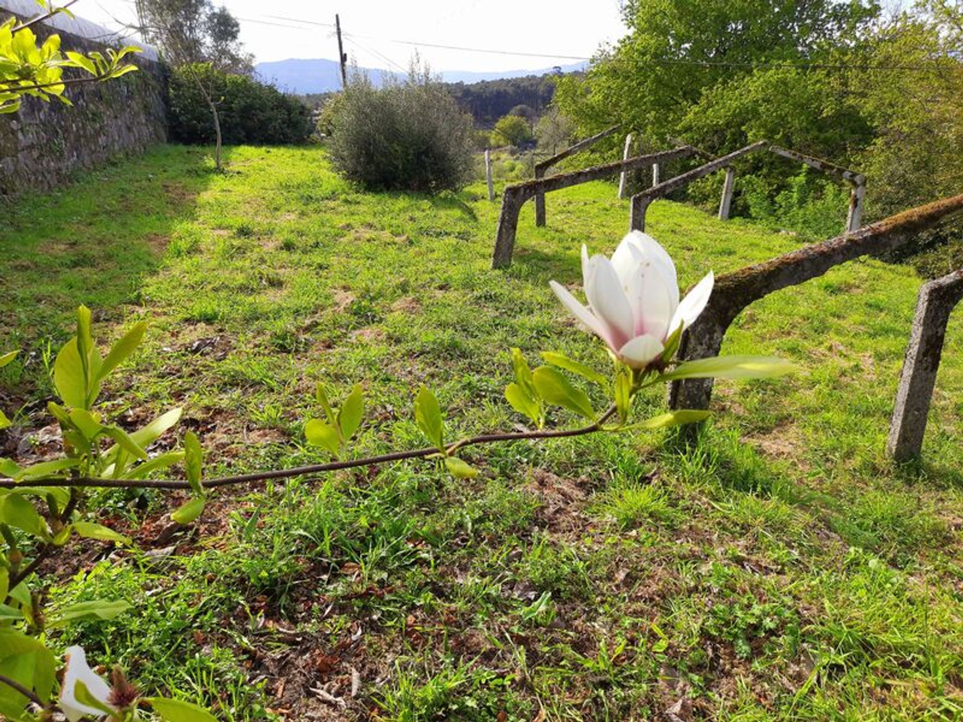 Huis in Echt, Viana do Castelo 10012451