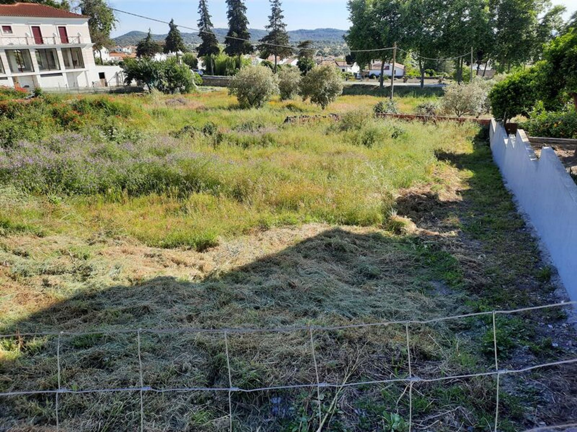 其他 在 Fortios, Portalegre 10012468