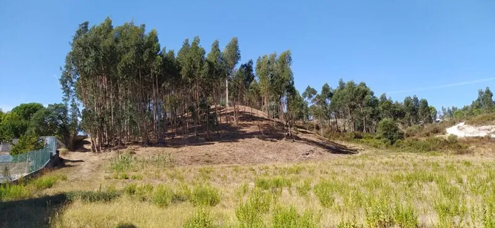 Outro no Alcanede, Santarém 10012525