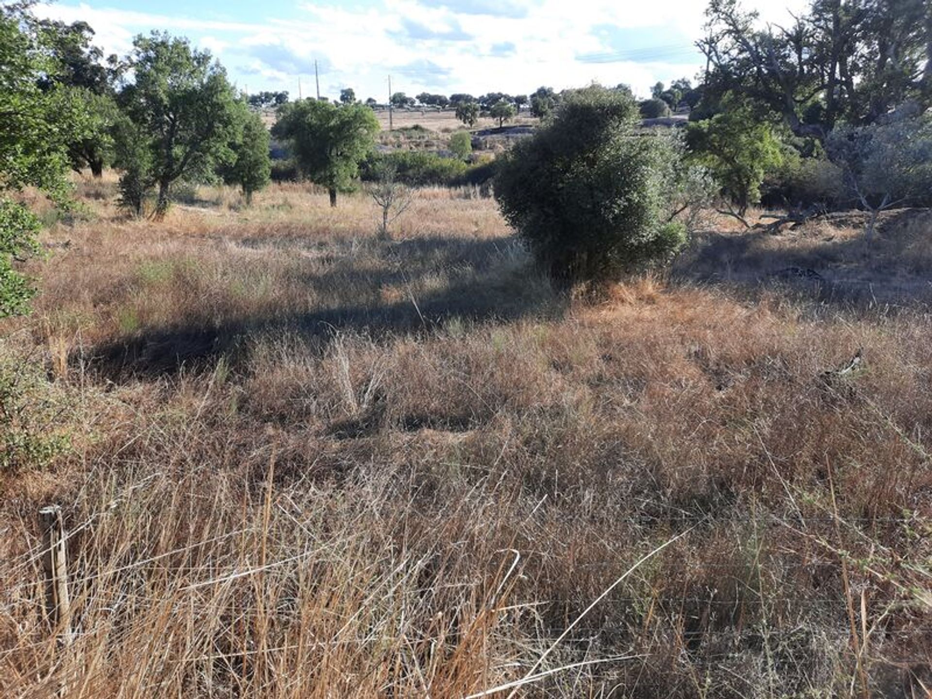 其他 在 Alpalhão, Portalegre District 10012543