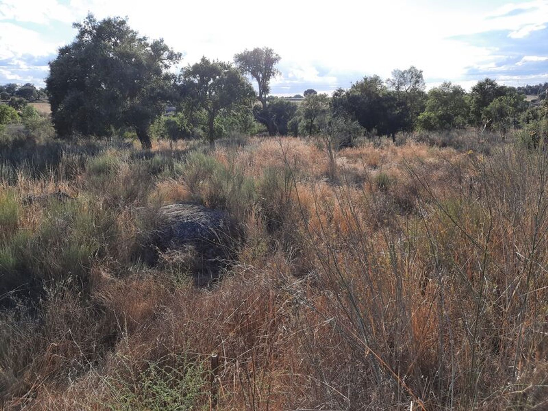 其他 在 Alpalhão, Portalegre District 10012543