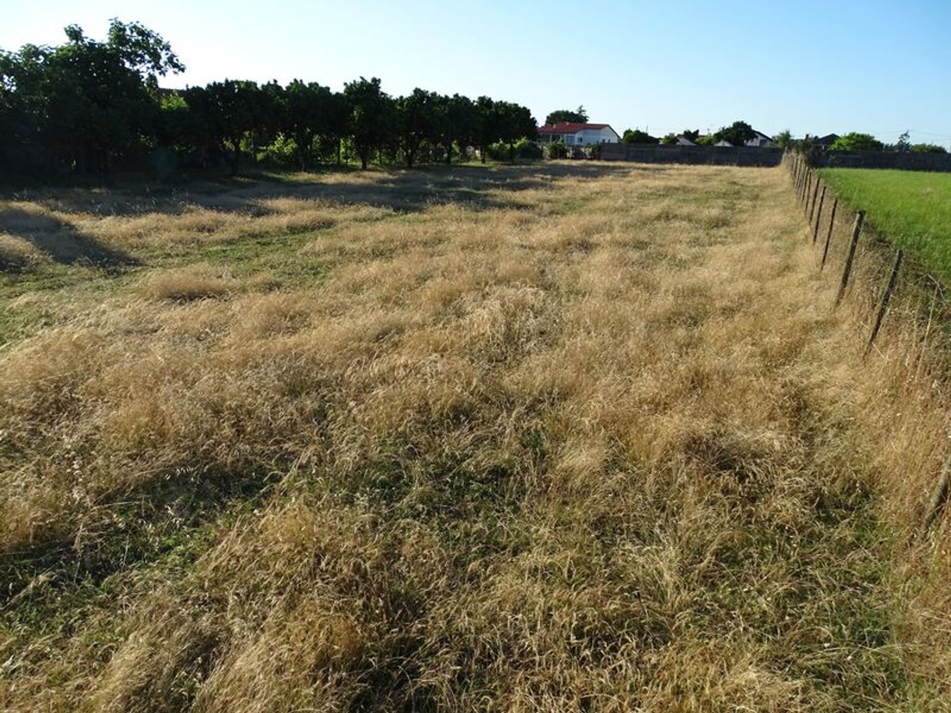 其他 在 Carriço, Leiria District 10012632