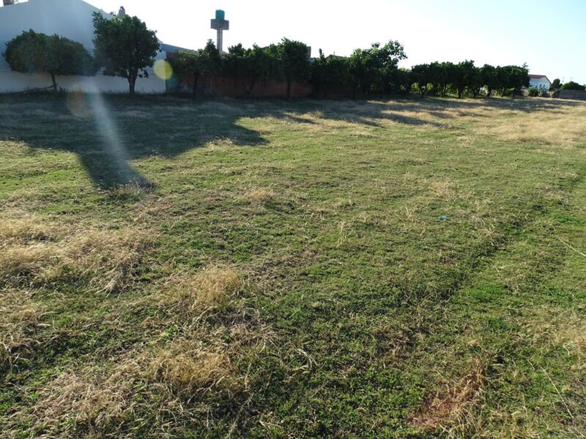 Otro en Carriço, Leiria District 10012632