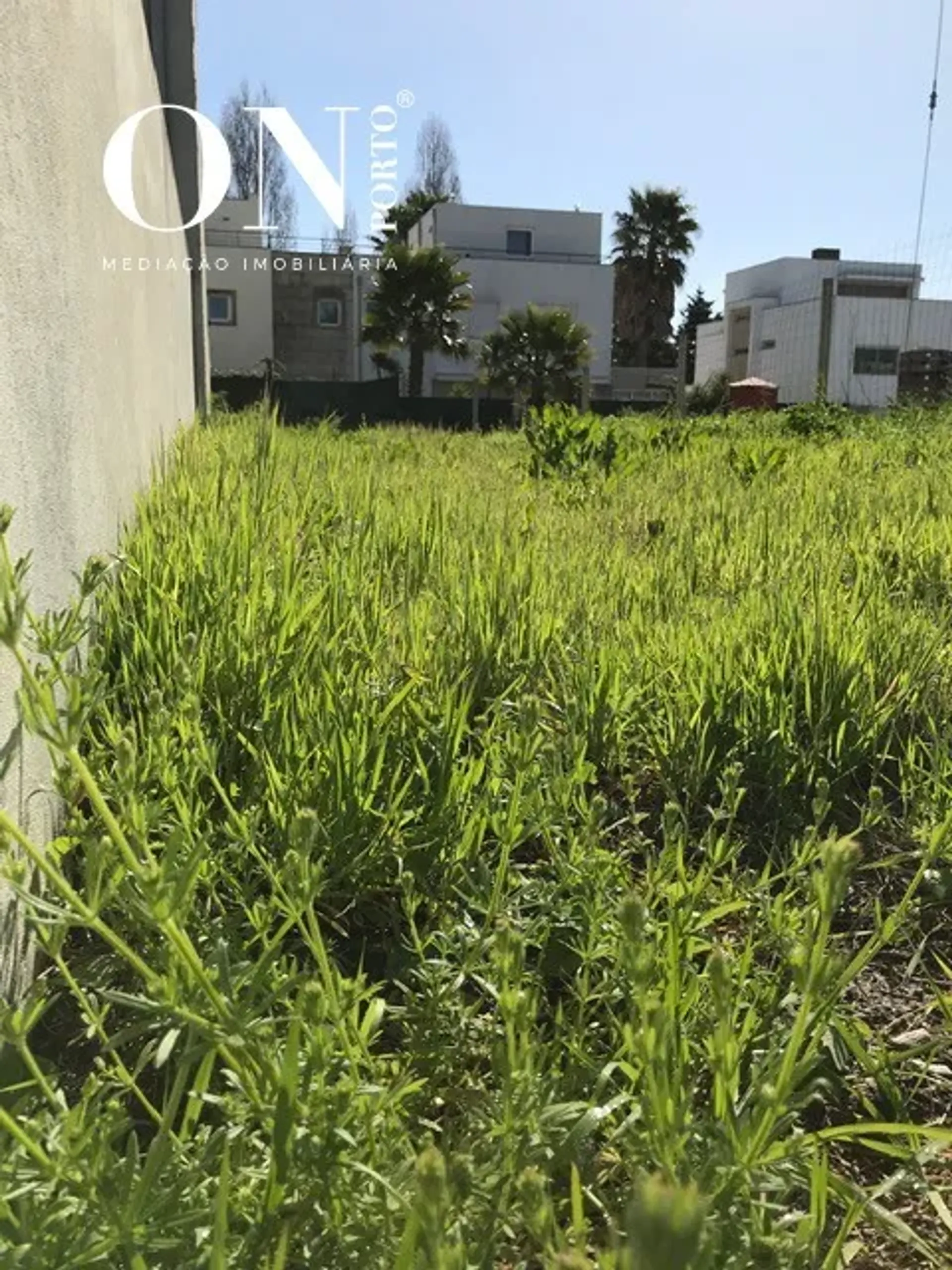 Terra no Custóias, Porto District 10012997