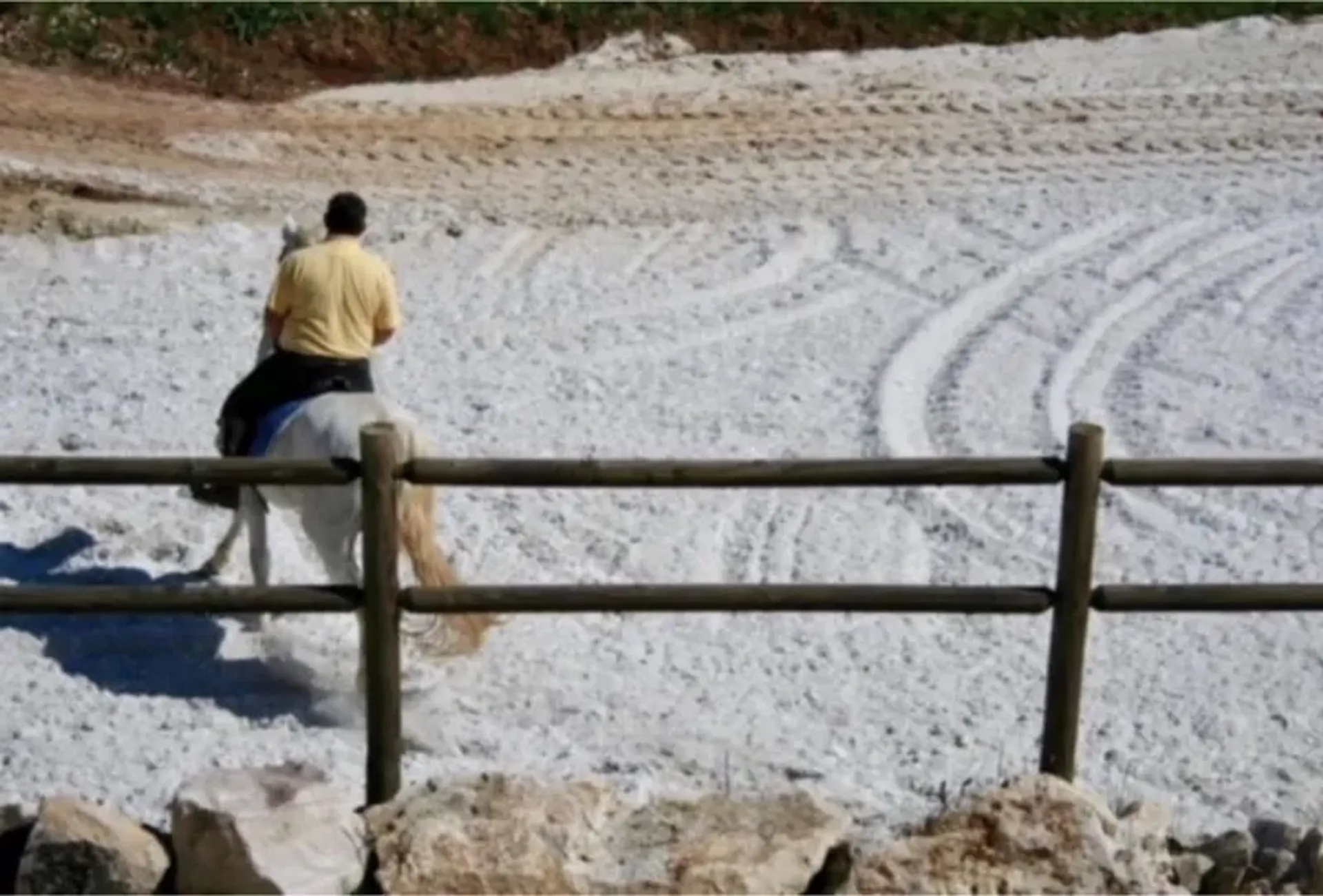 Autre dans Santarem, Santarém District 10013166