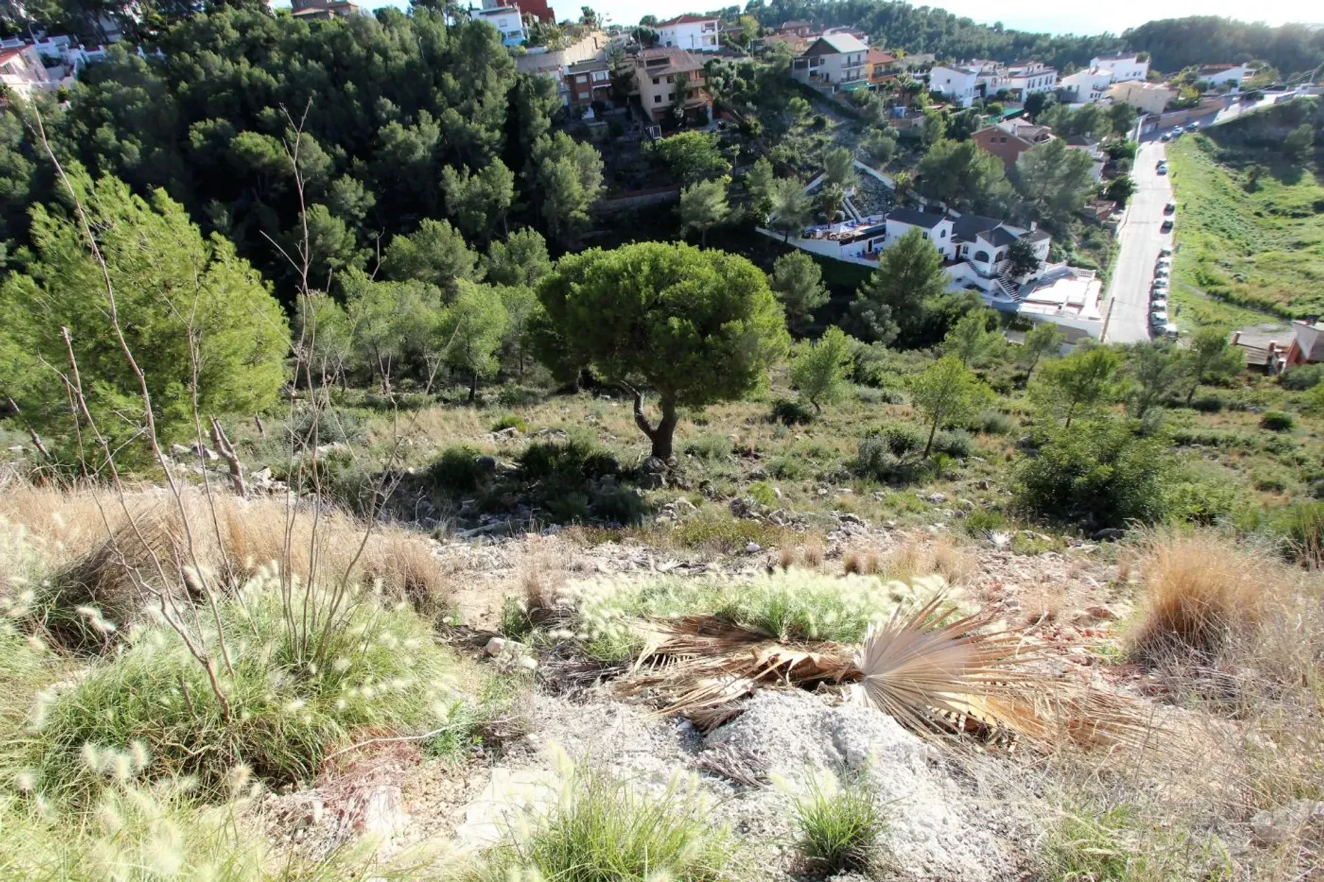 Terre dans Sitges, Catalonia 10013226