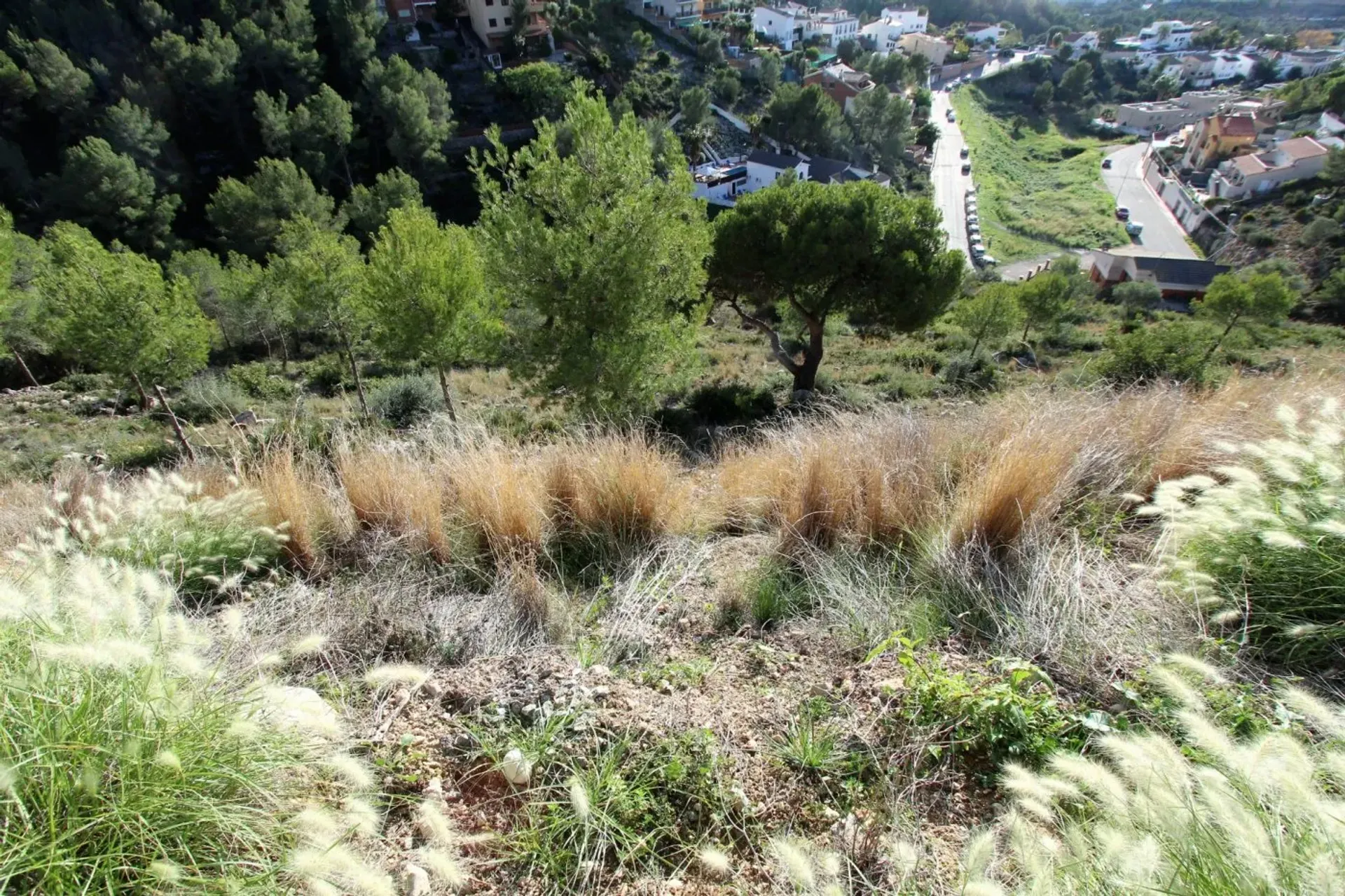 Tanah di Quint Mar, Catalunya 10013226