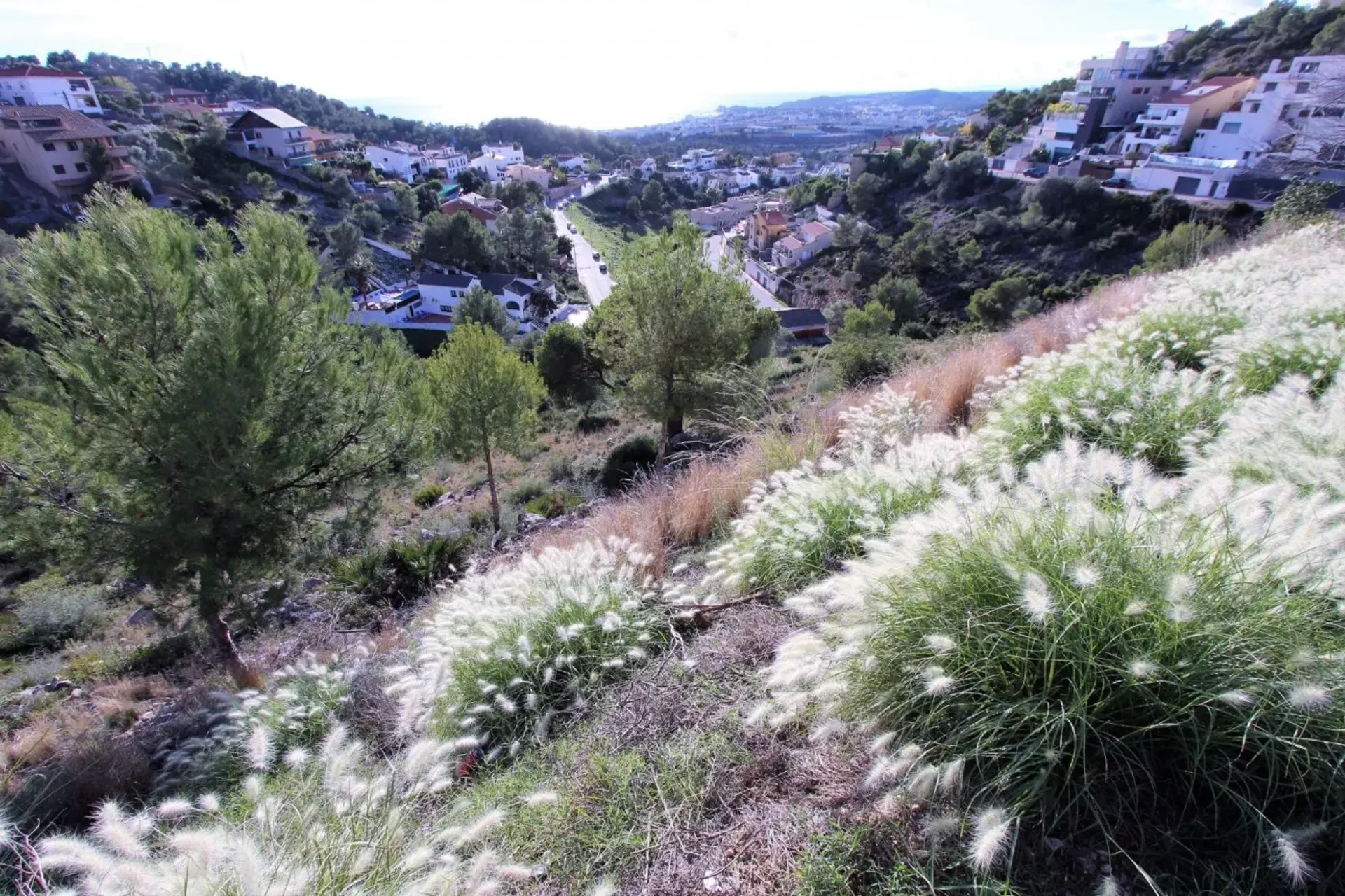 Terra no Quint Mar, Catalunya 10013226