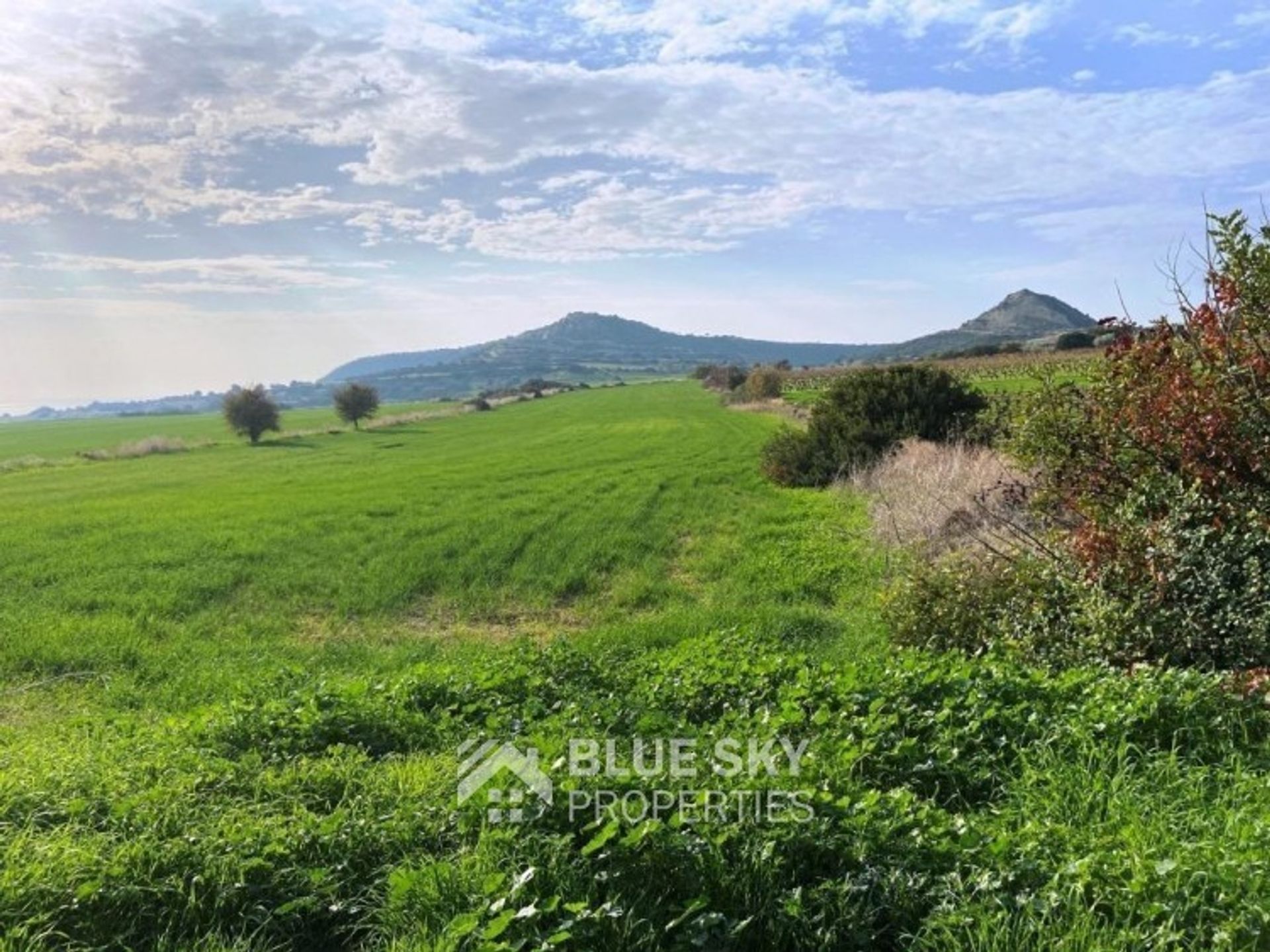 Land in Pampoula, Lemesos 10013237