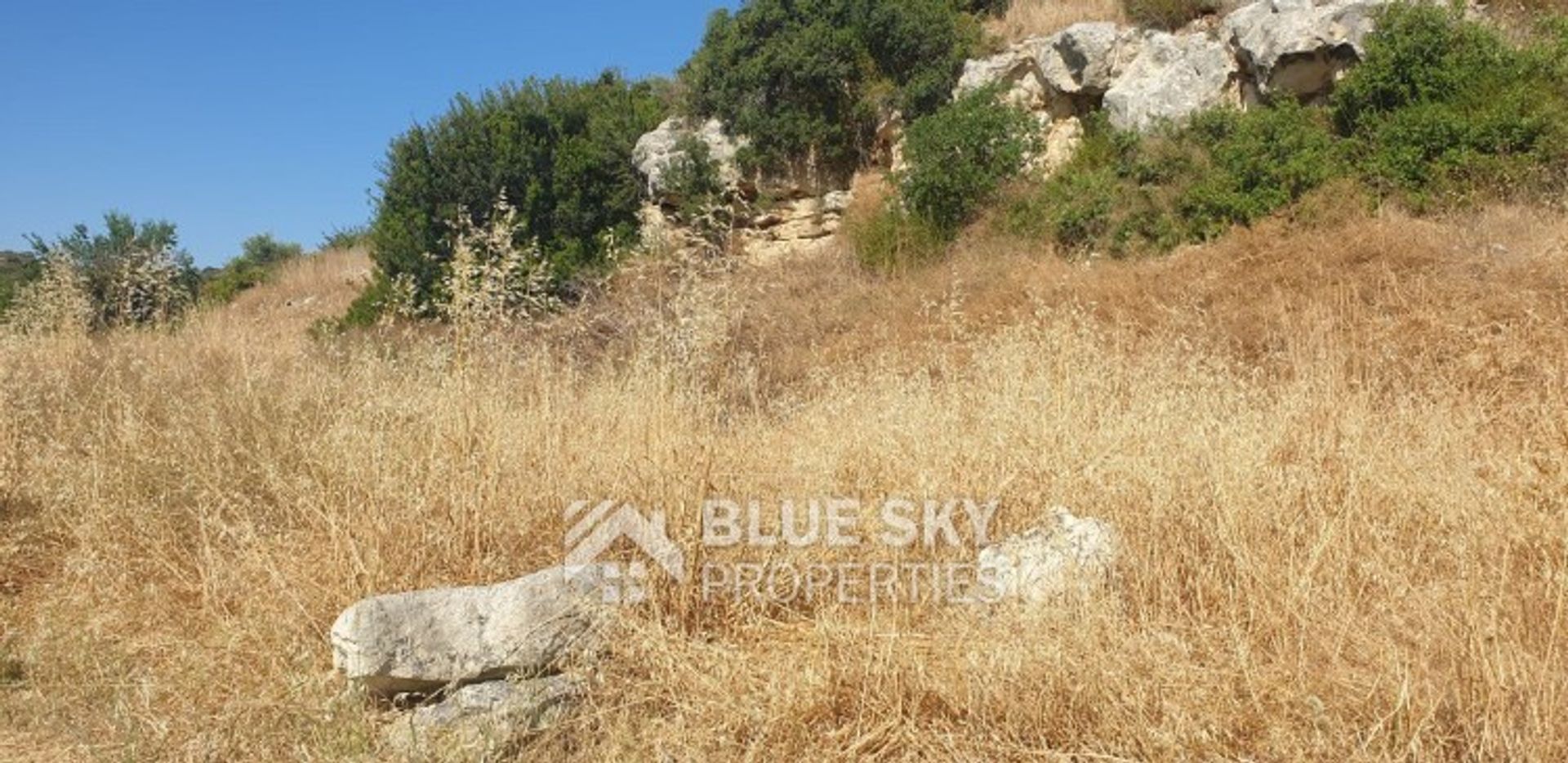 Terre dans Palodée, Lémésos 10013247