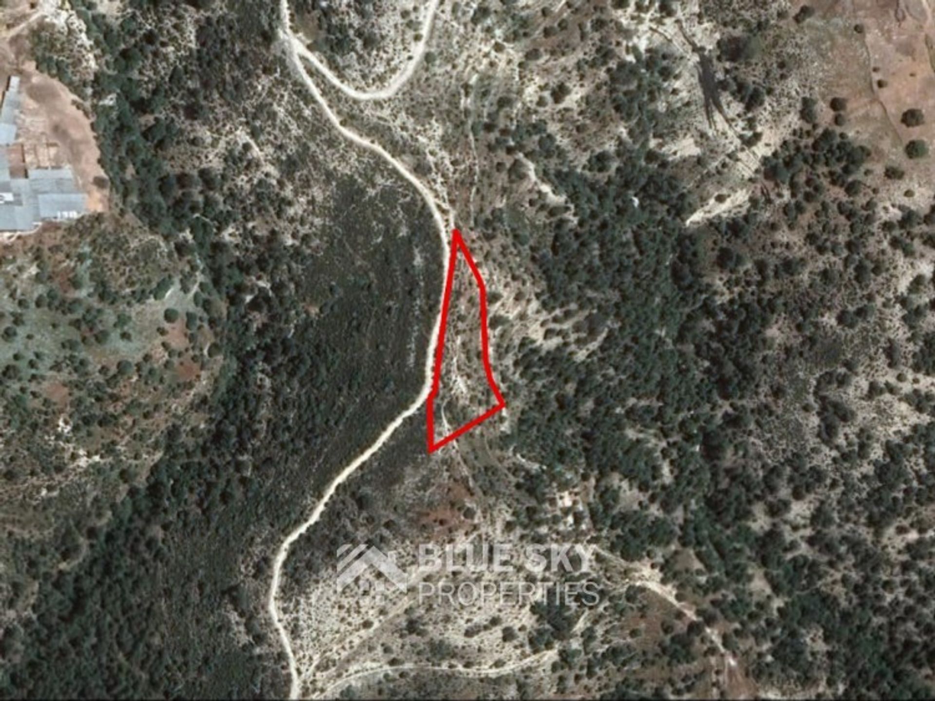 Land in Mousere, Paphos 10013348