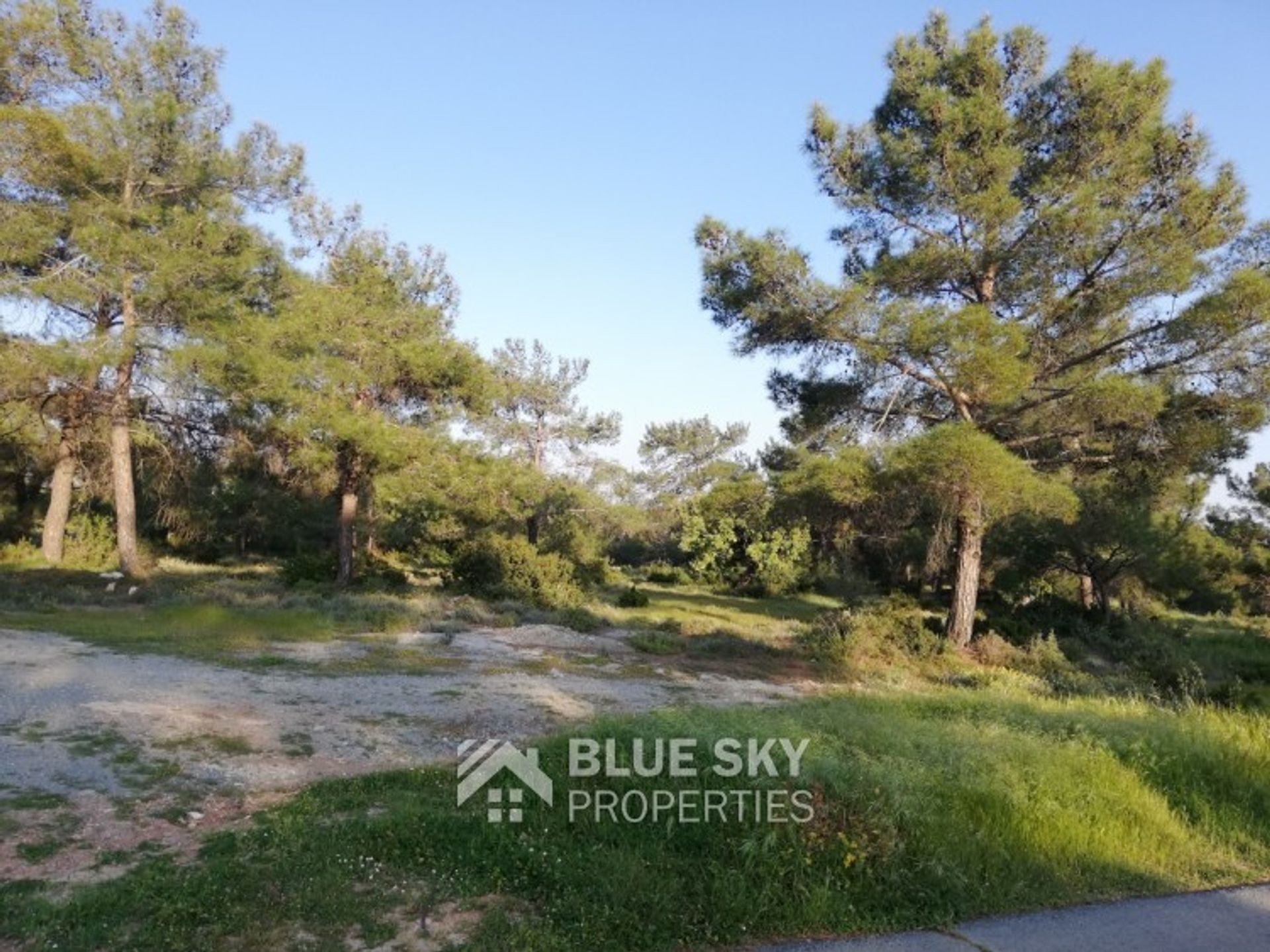 Land in Solaravia, Lemesos 10013756