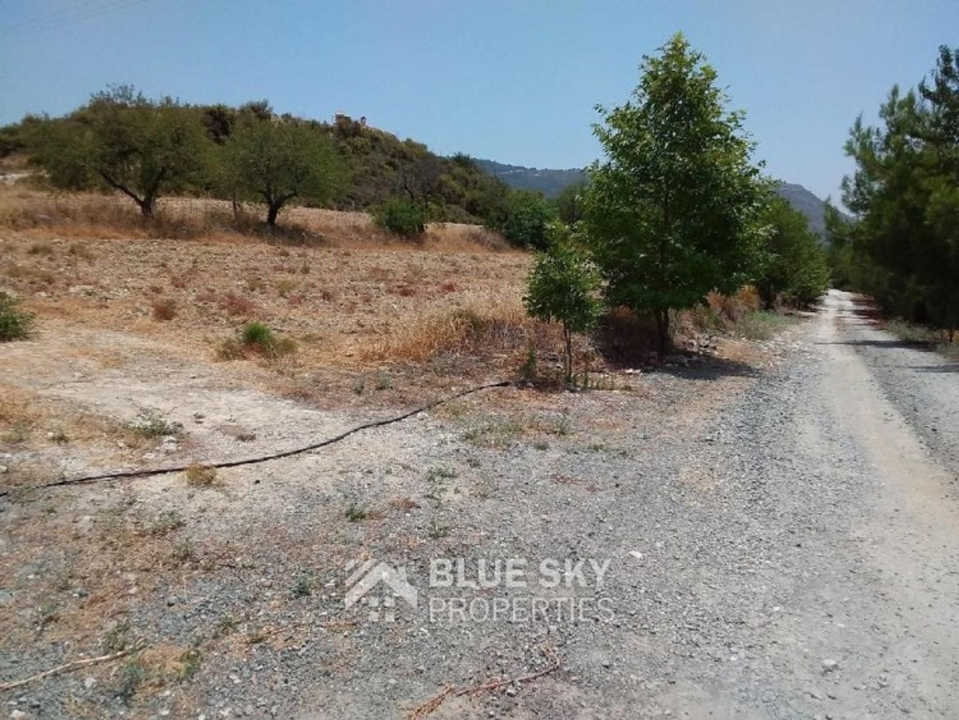 Land in Pampoula, Lemesos 10013785