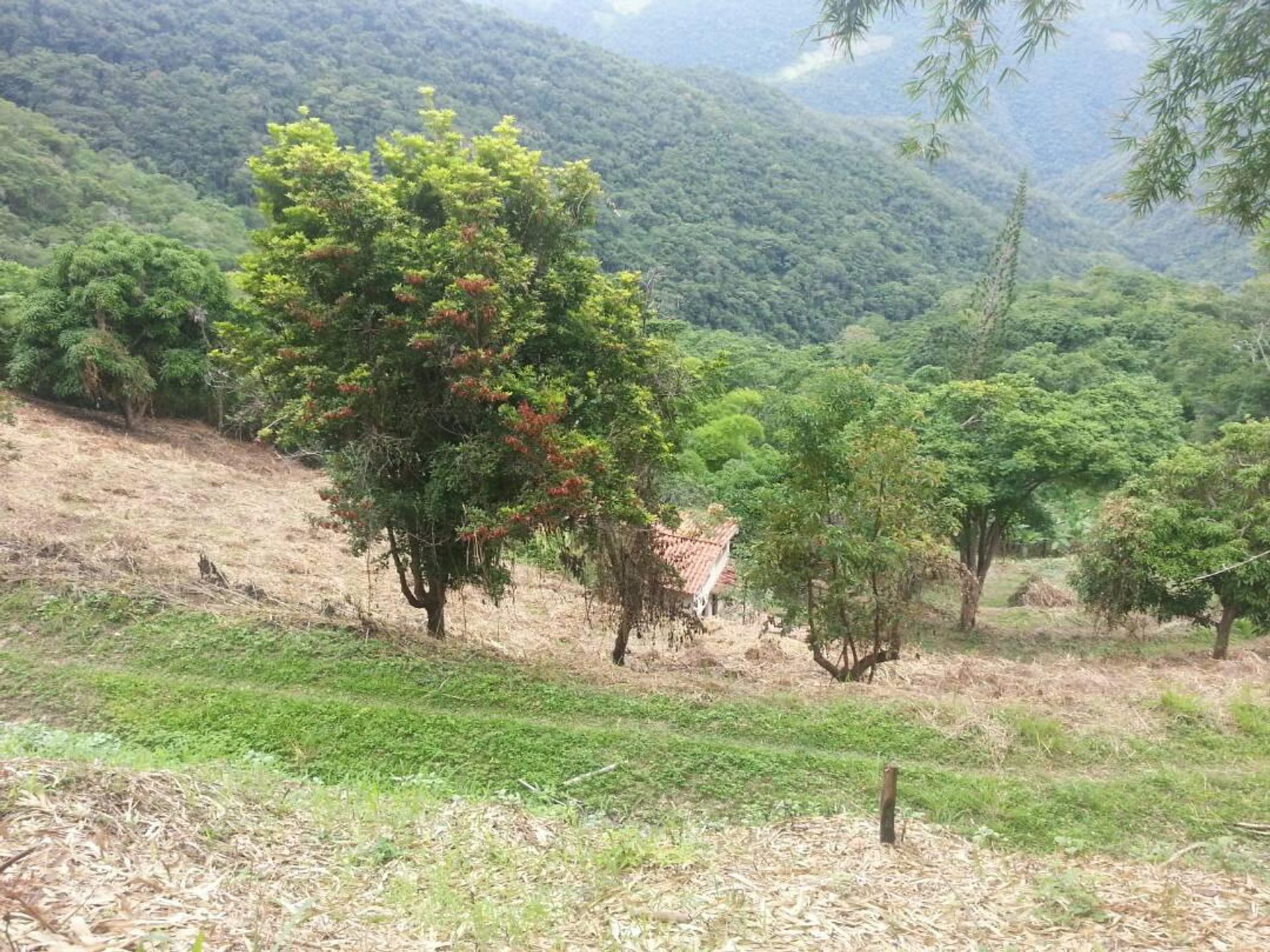 House in Turgua, Miranda   Venezuela 10014353